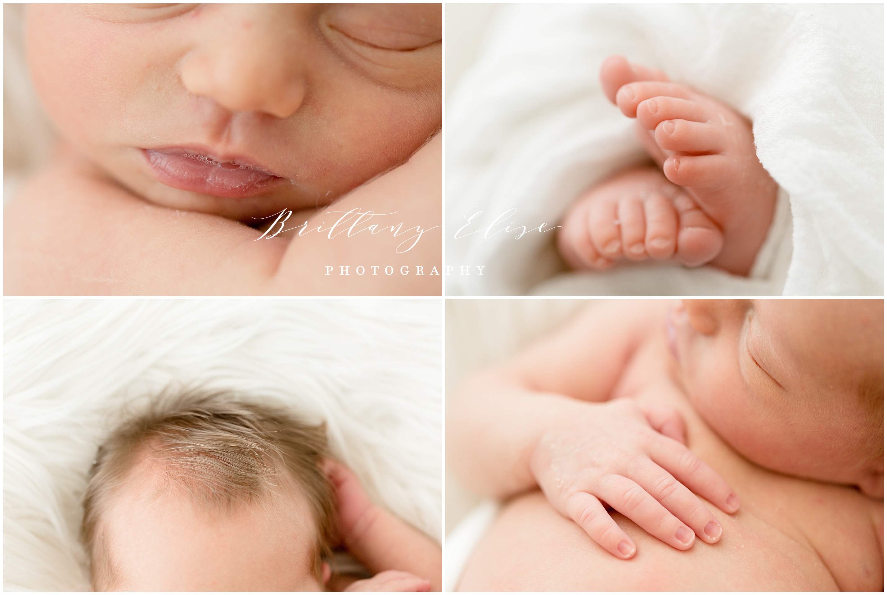 Tampa Newborn Studio Photographer