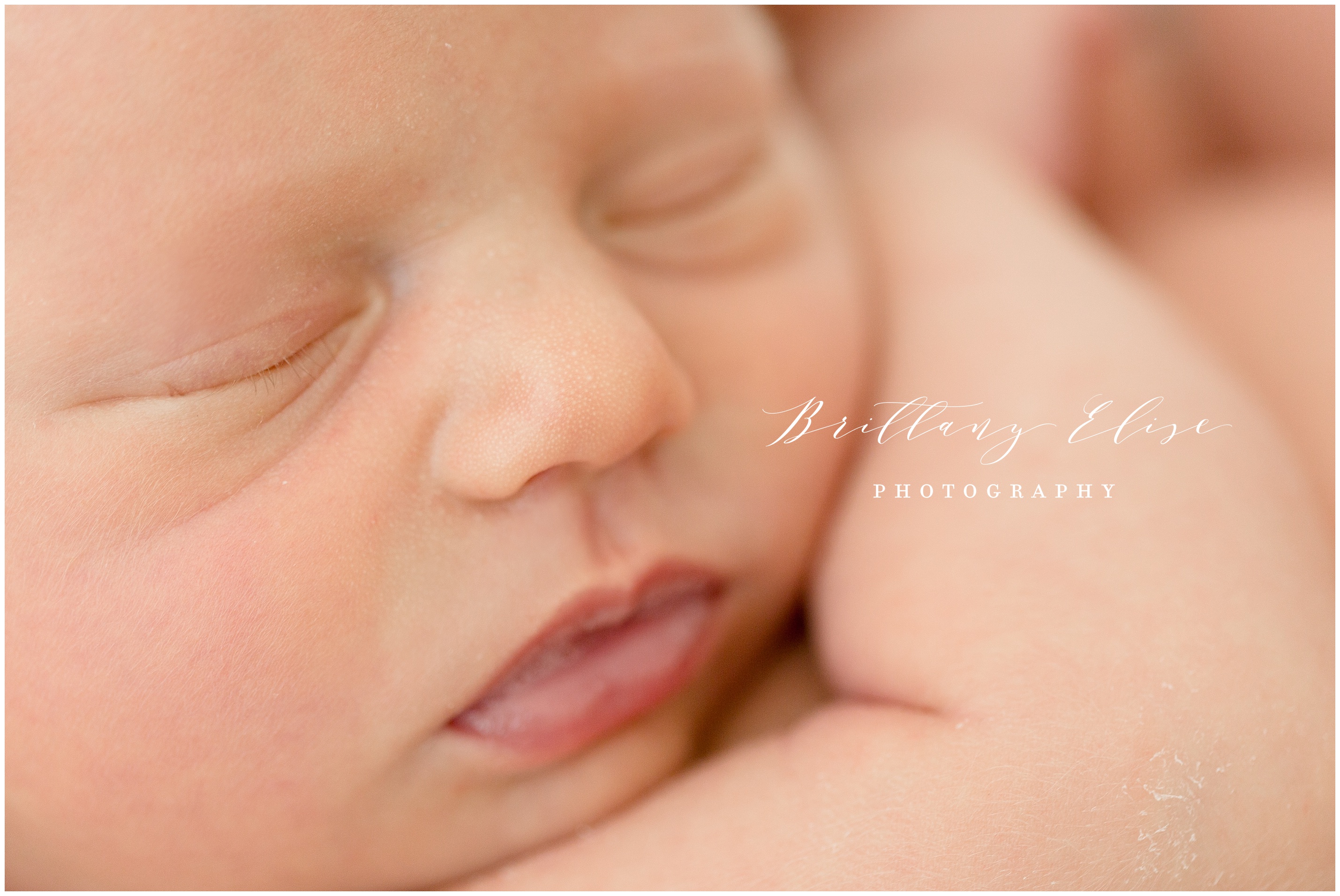 Tampa Newborn Studio Photographer