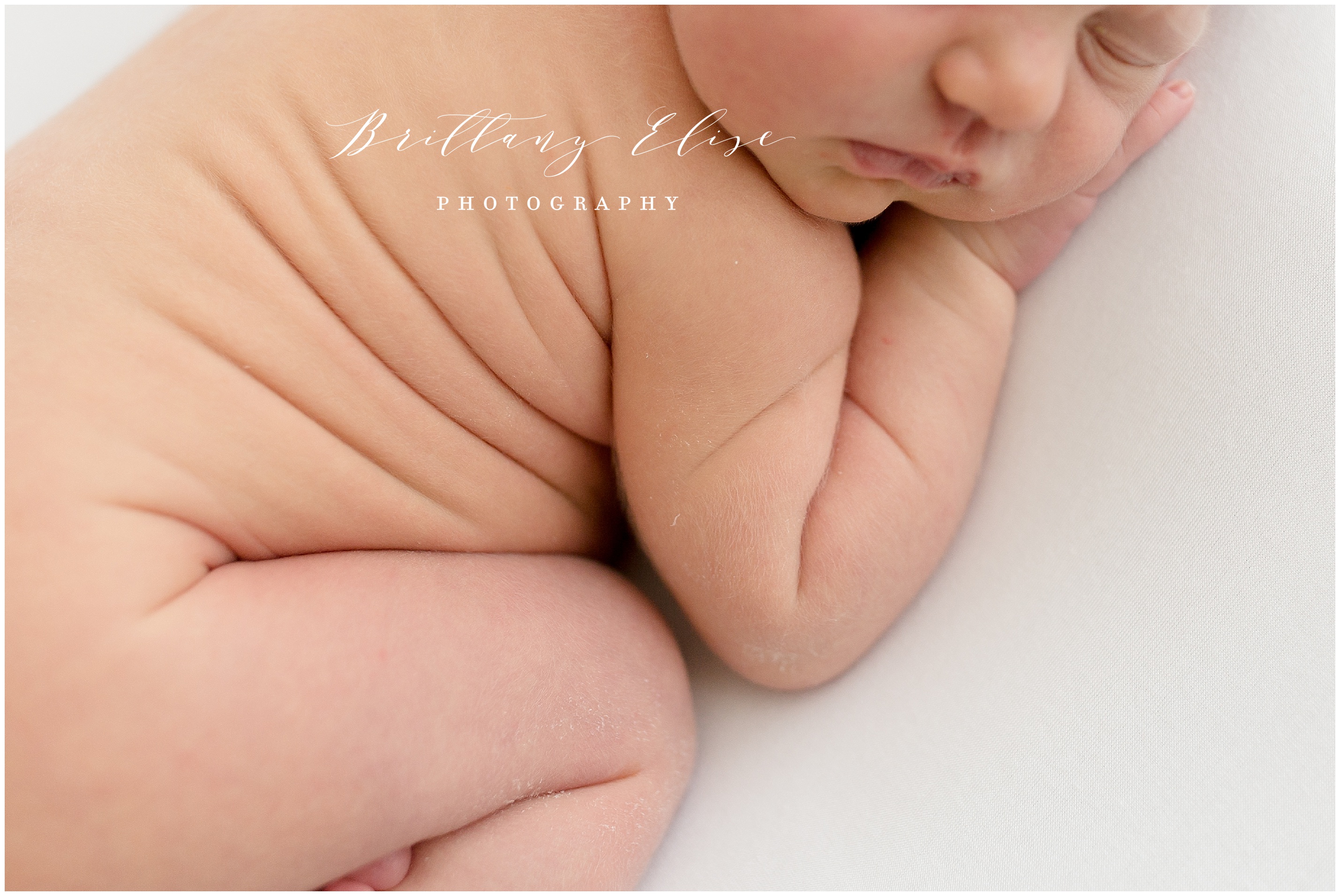 Tampa Newborn Studio Photographer