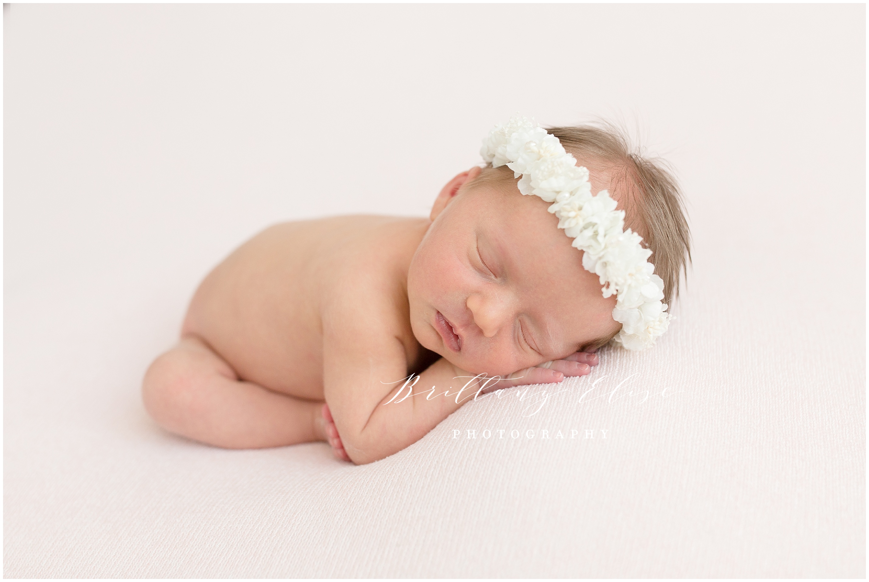 Tampa Newborn Studio Photographer