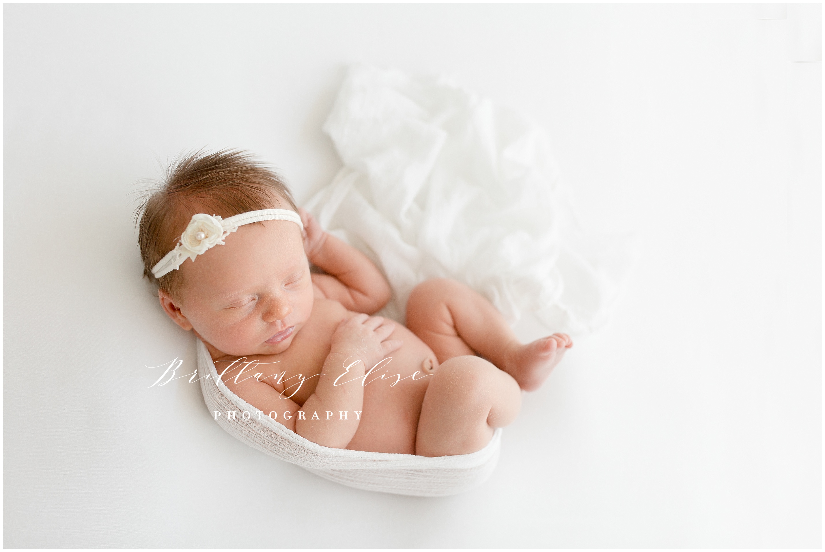 Tampa Newborn Studio Photographer