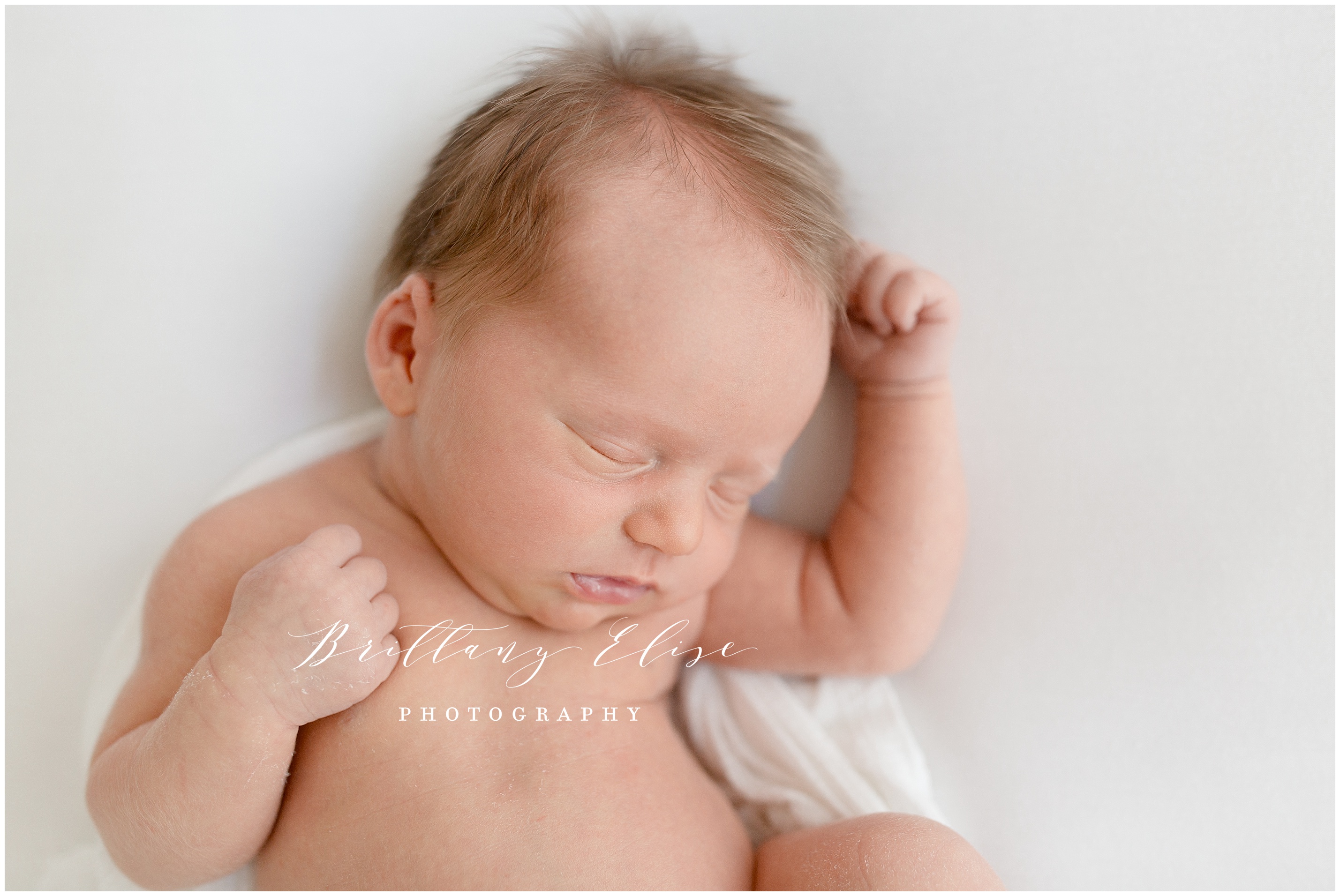 Tampa Newborn Studio Photographer