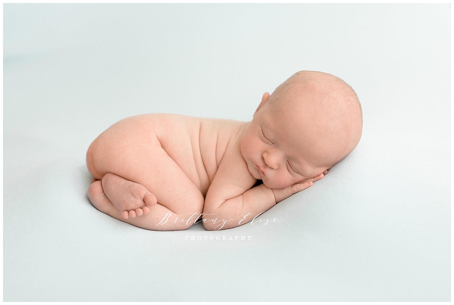 Newborn Photographer in Tampa, FL