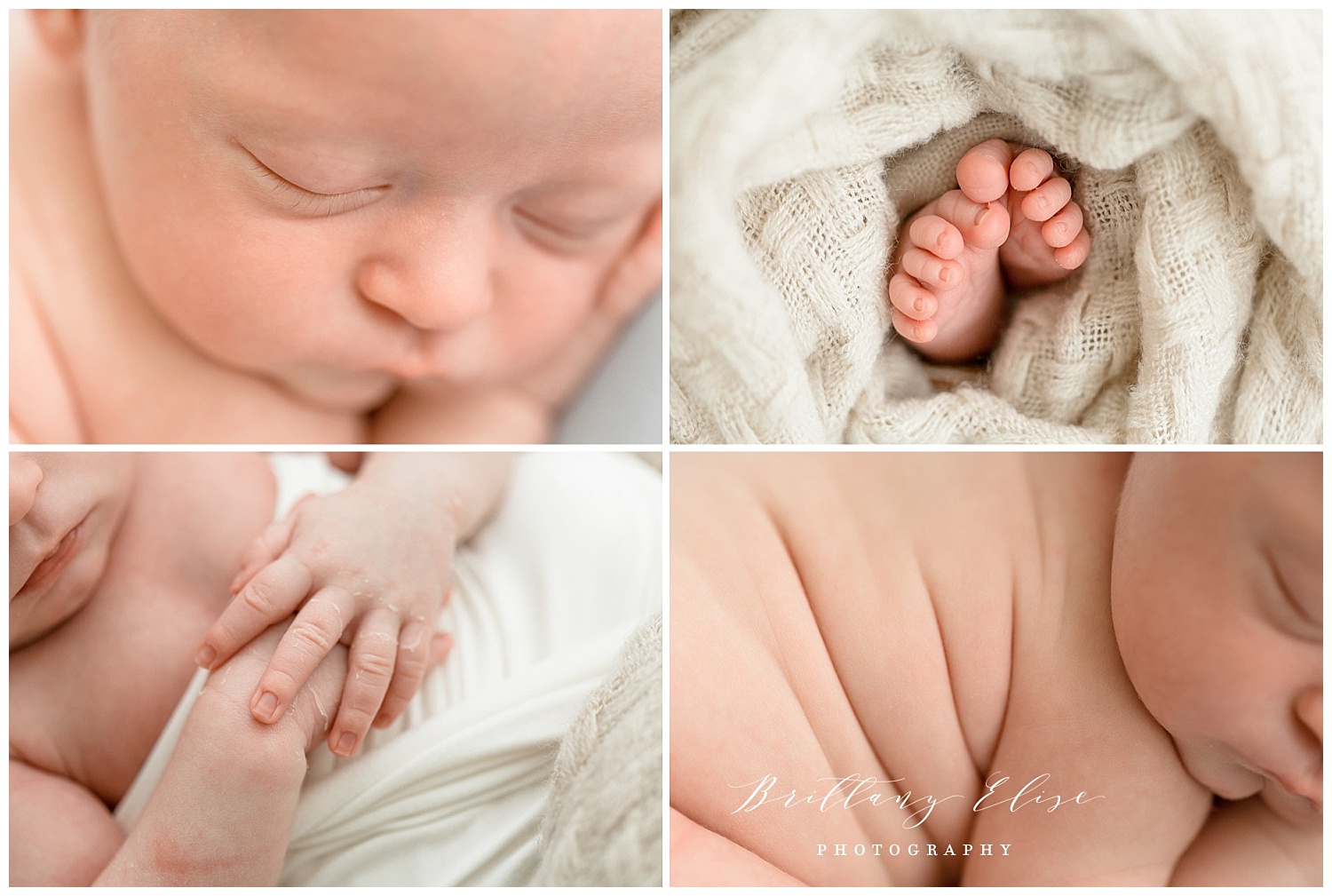 Newborn Photographer in Tampa, FL
