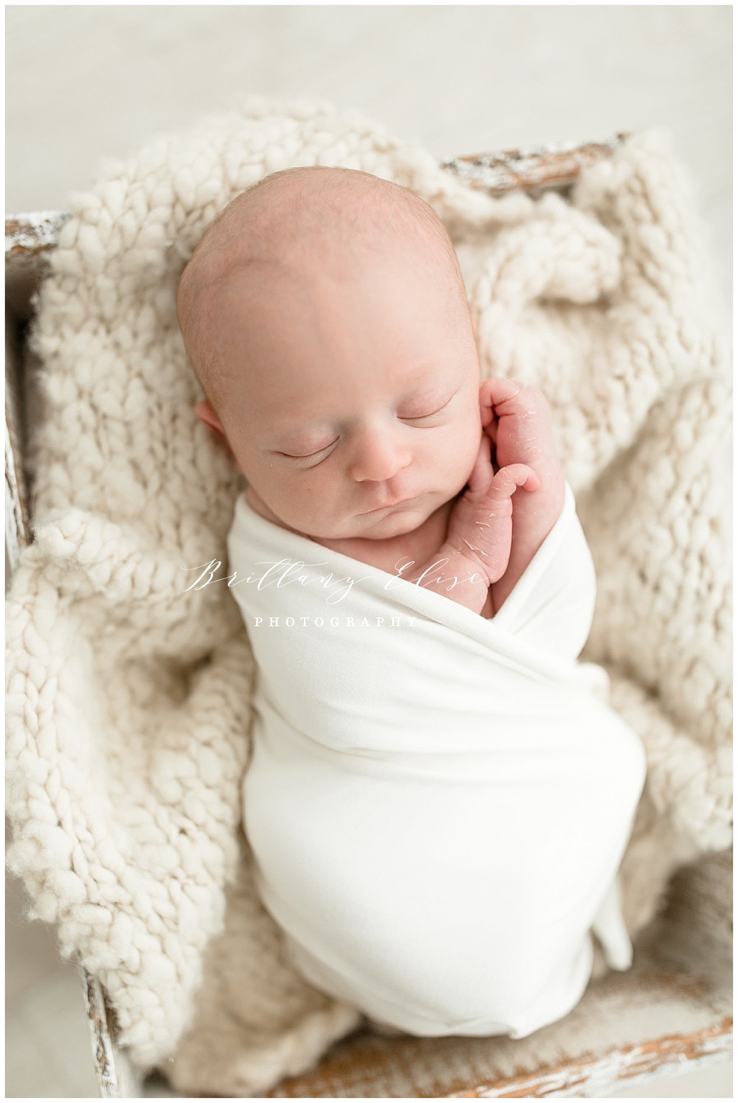 Newborn Photographer in Tampa, FL