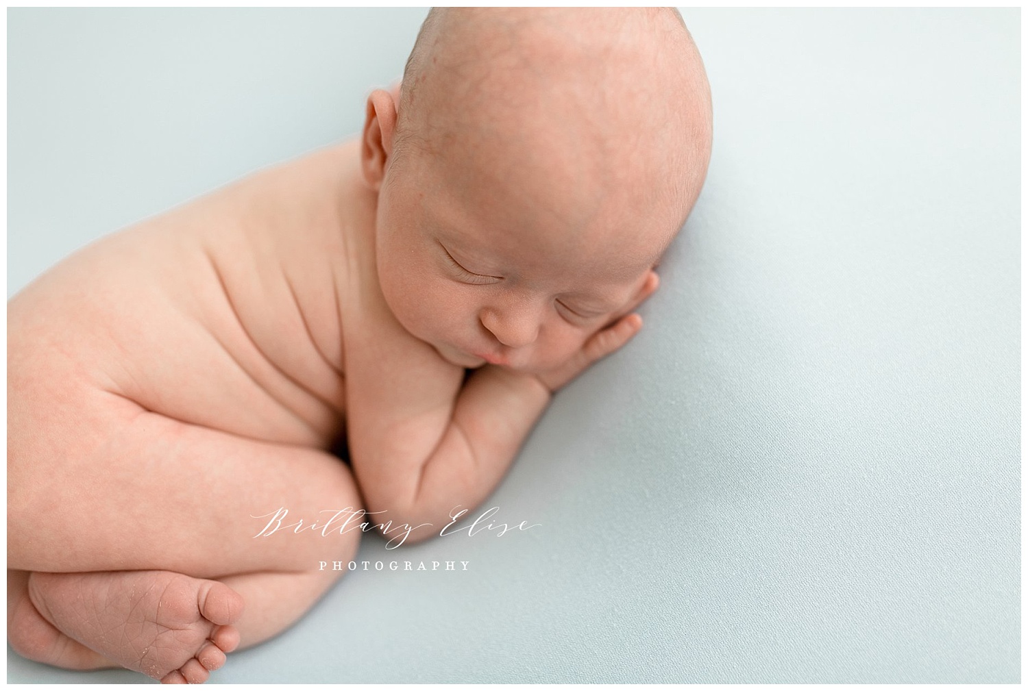 Newborn Photographer in Tampa, FL