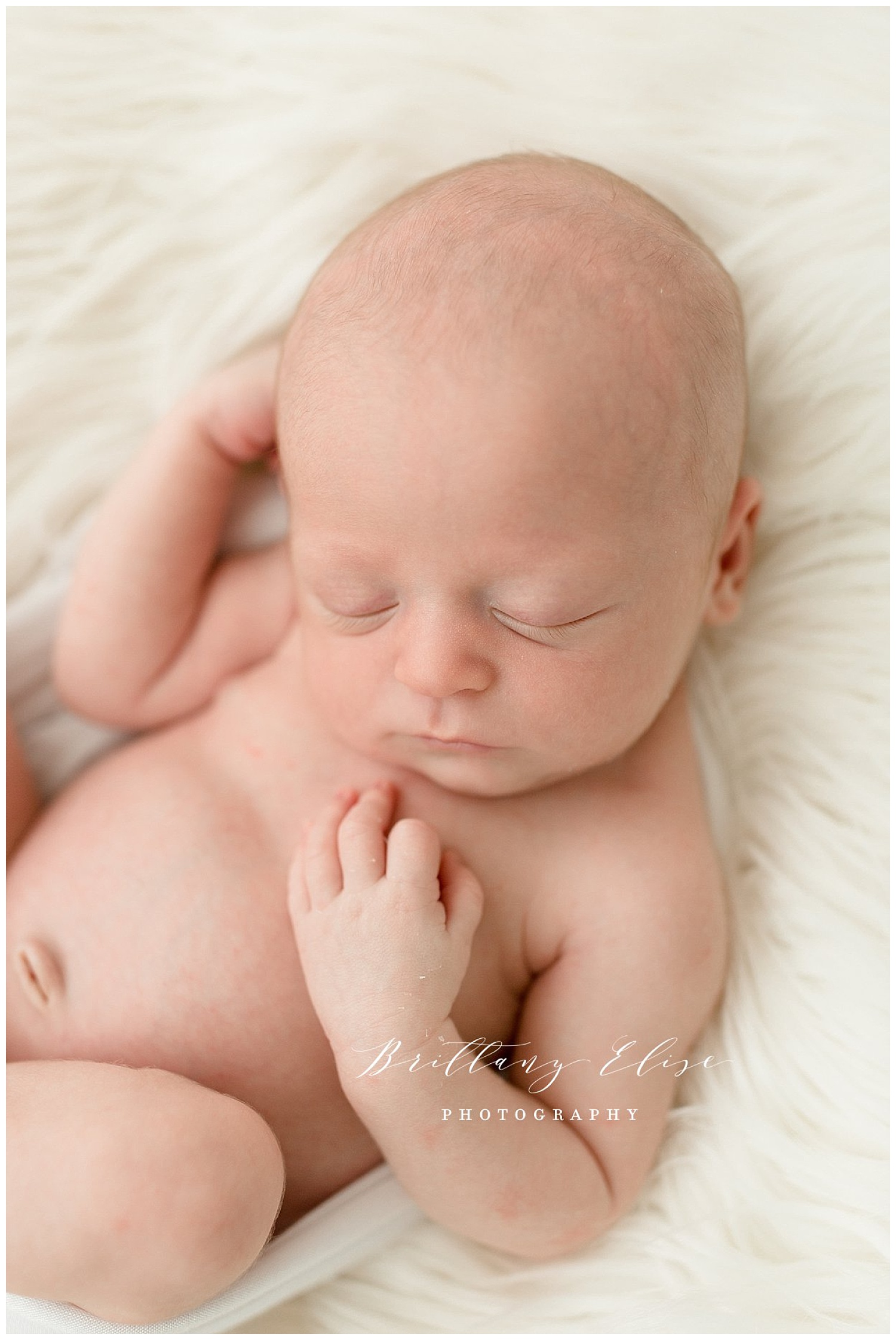 Newborn Photographer in Tampa, FL