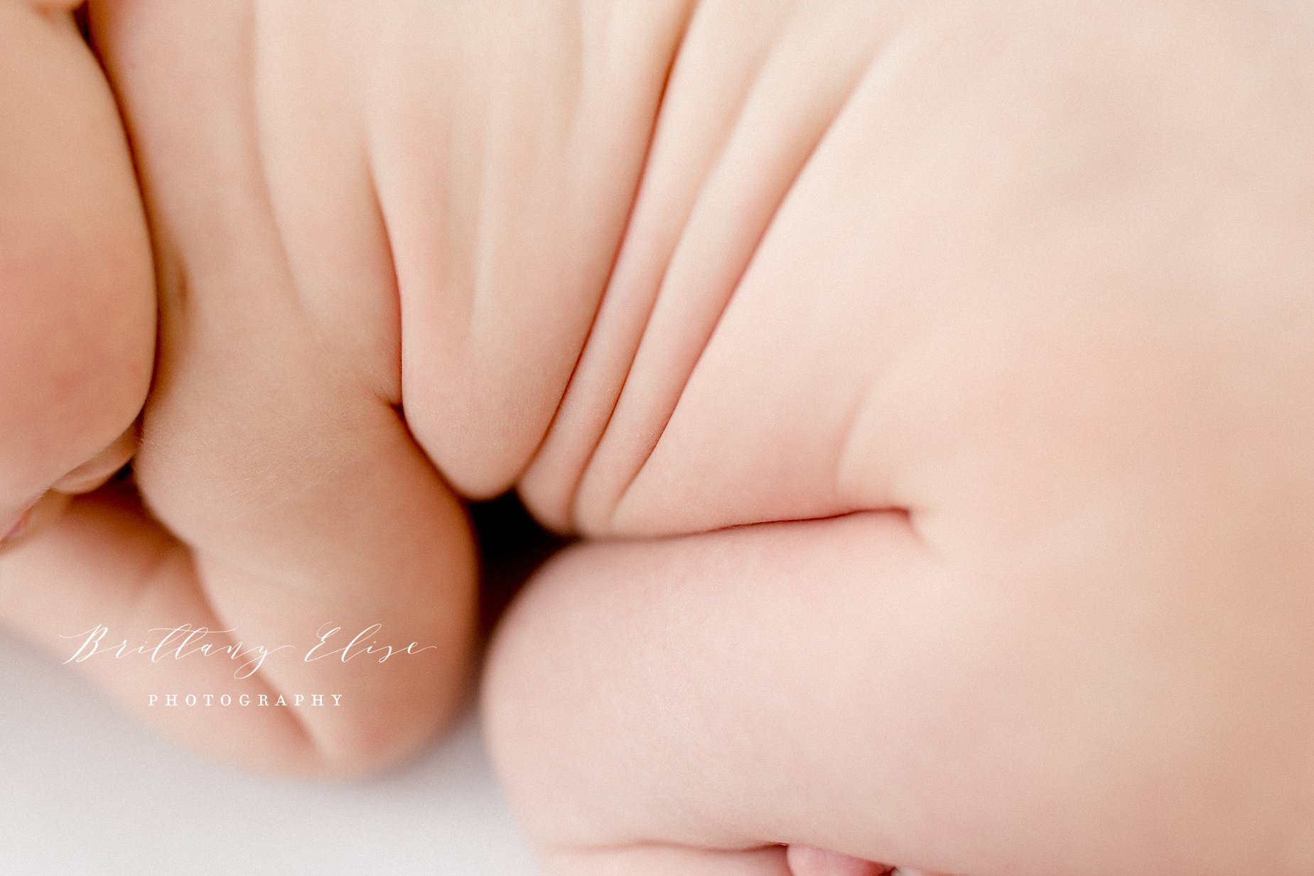 Tampa Natural Light Studio Photographer