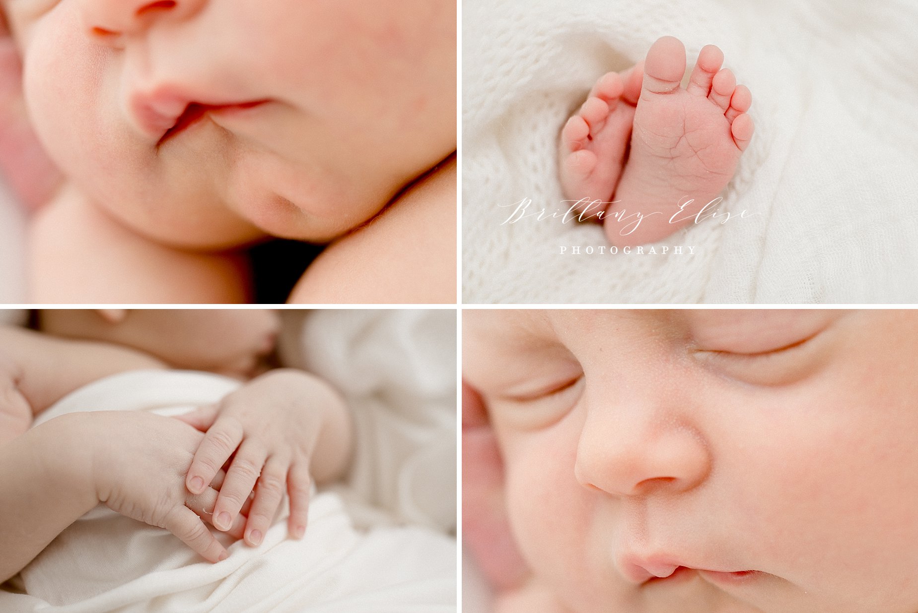 Tampa Natural Light Studio Photographer