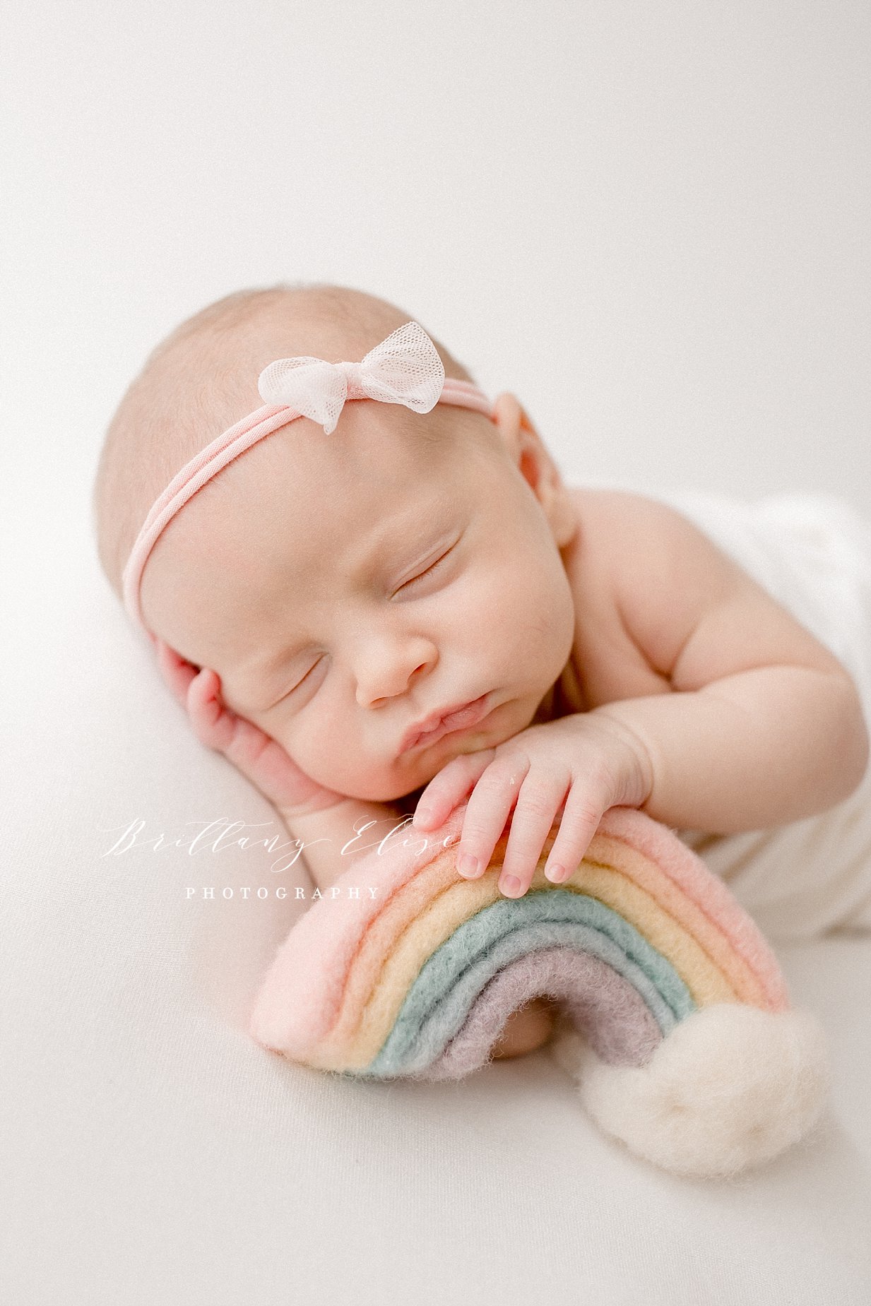 Tampa Natural Light Studio Photographer