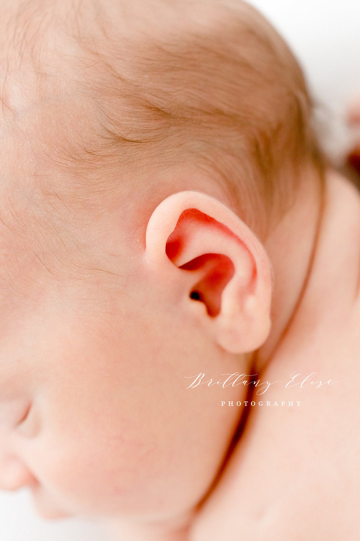 Tampa Natural Light Studio Photographer