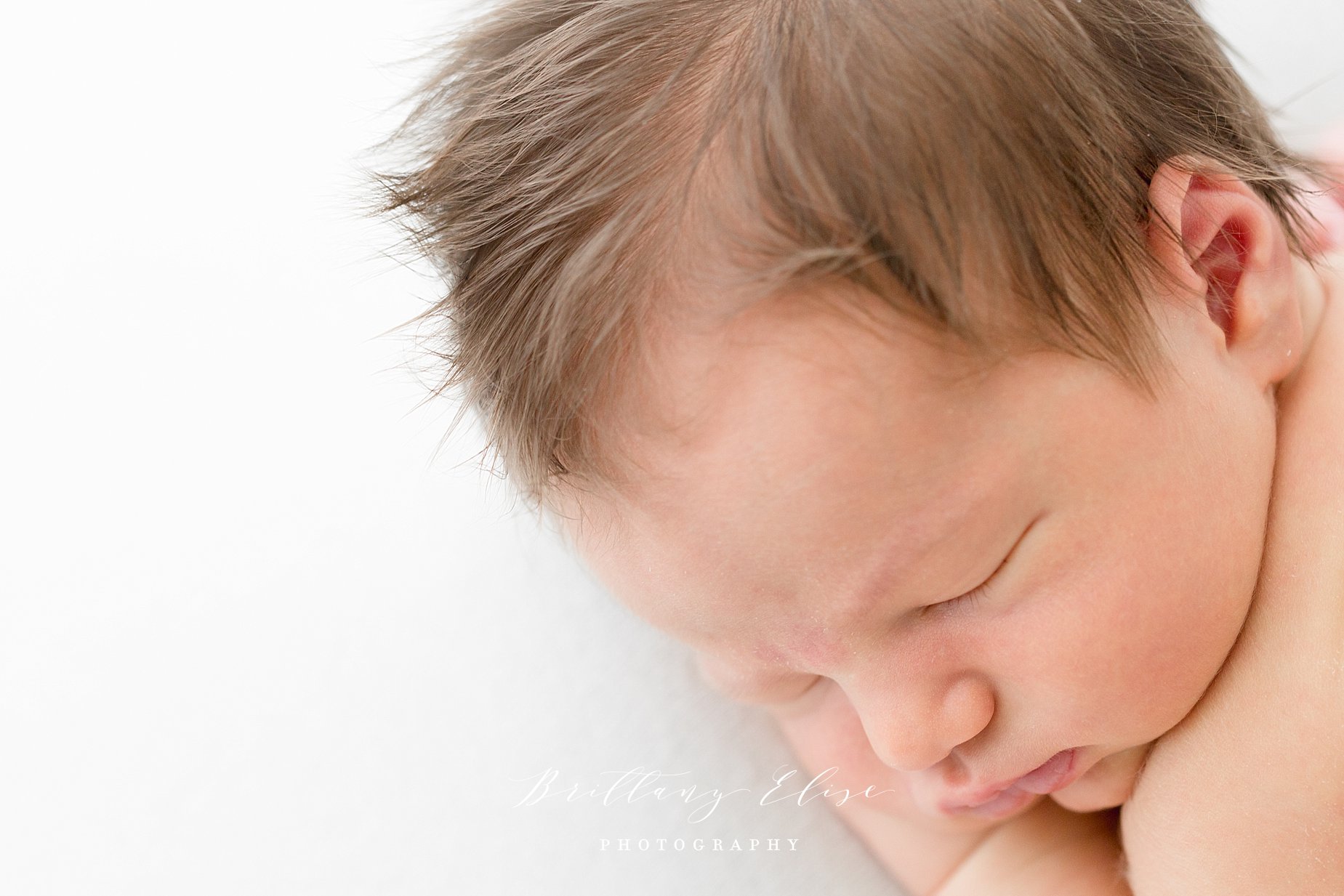 Tampa, FL Luxury Newborn Studio Photographer