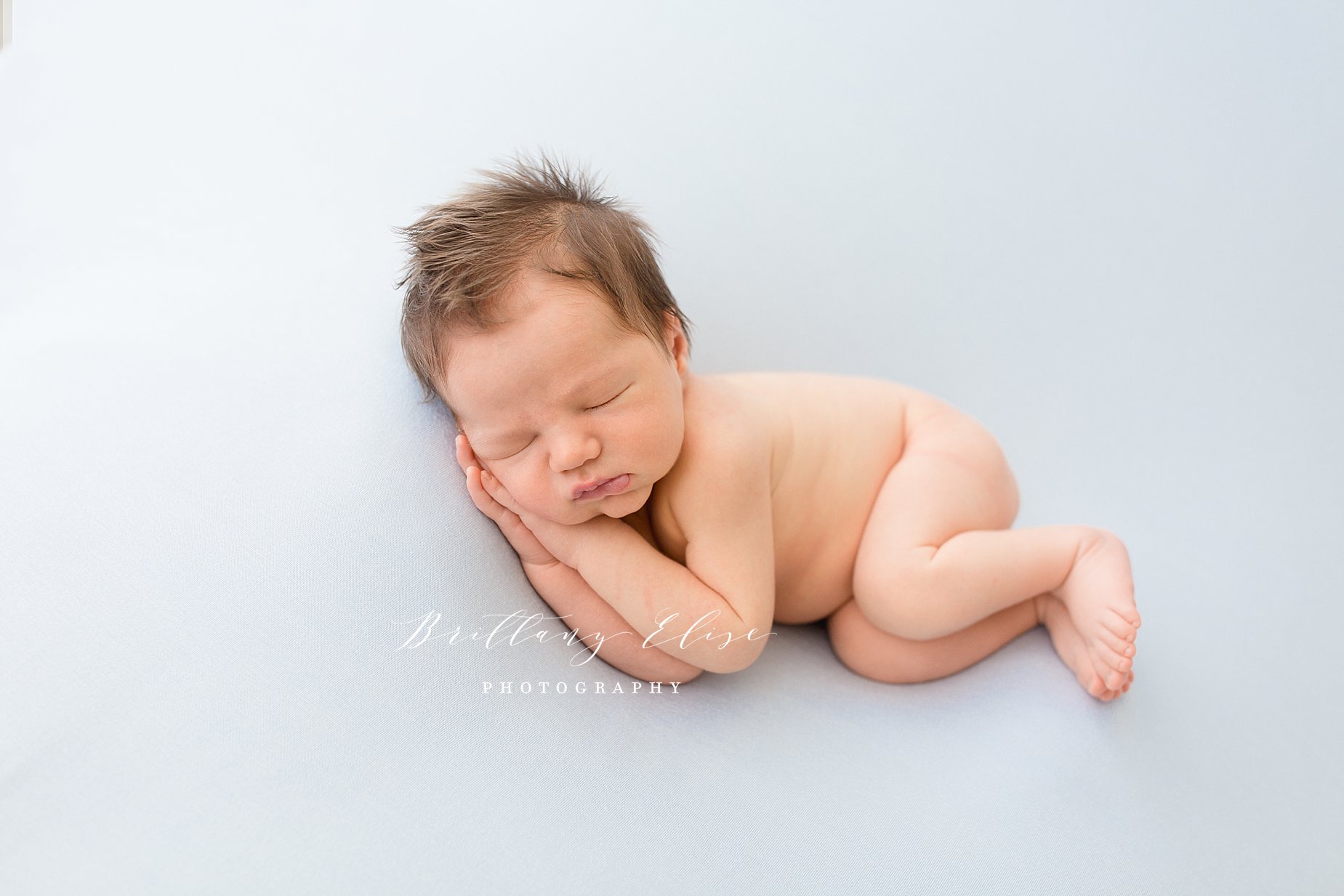 Tampa, FL Luxury Newborn Studio Photographer