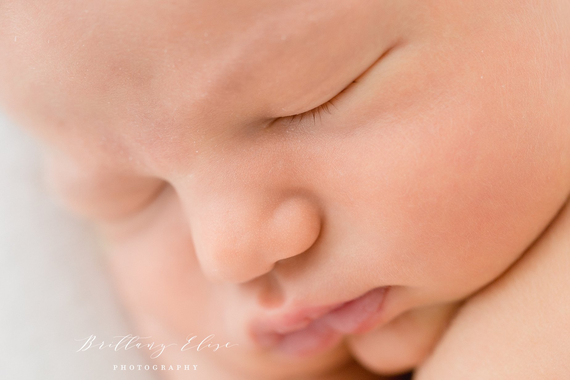 Tampa, FL Luxury Newborn Studio Photographer