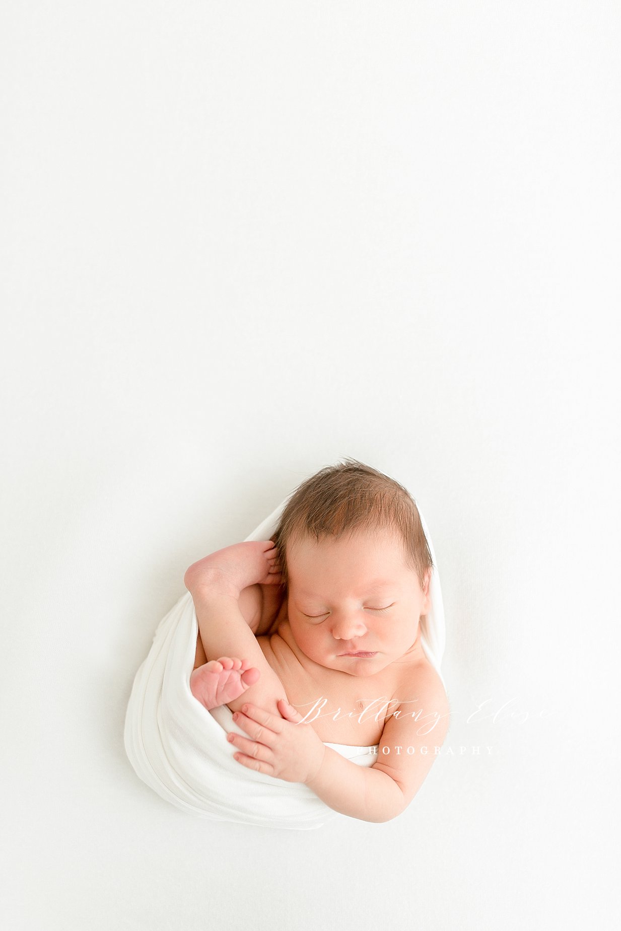 Tampa Newborn Studio Photographer