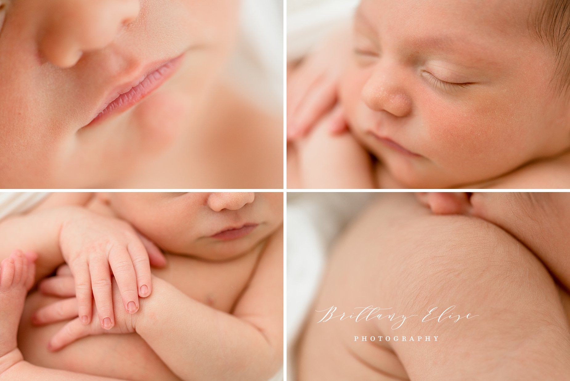 Tampa Newborn Studio Photographer
