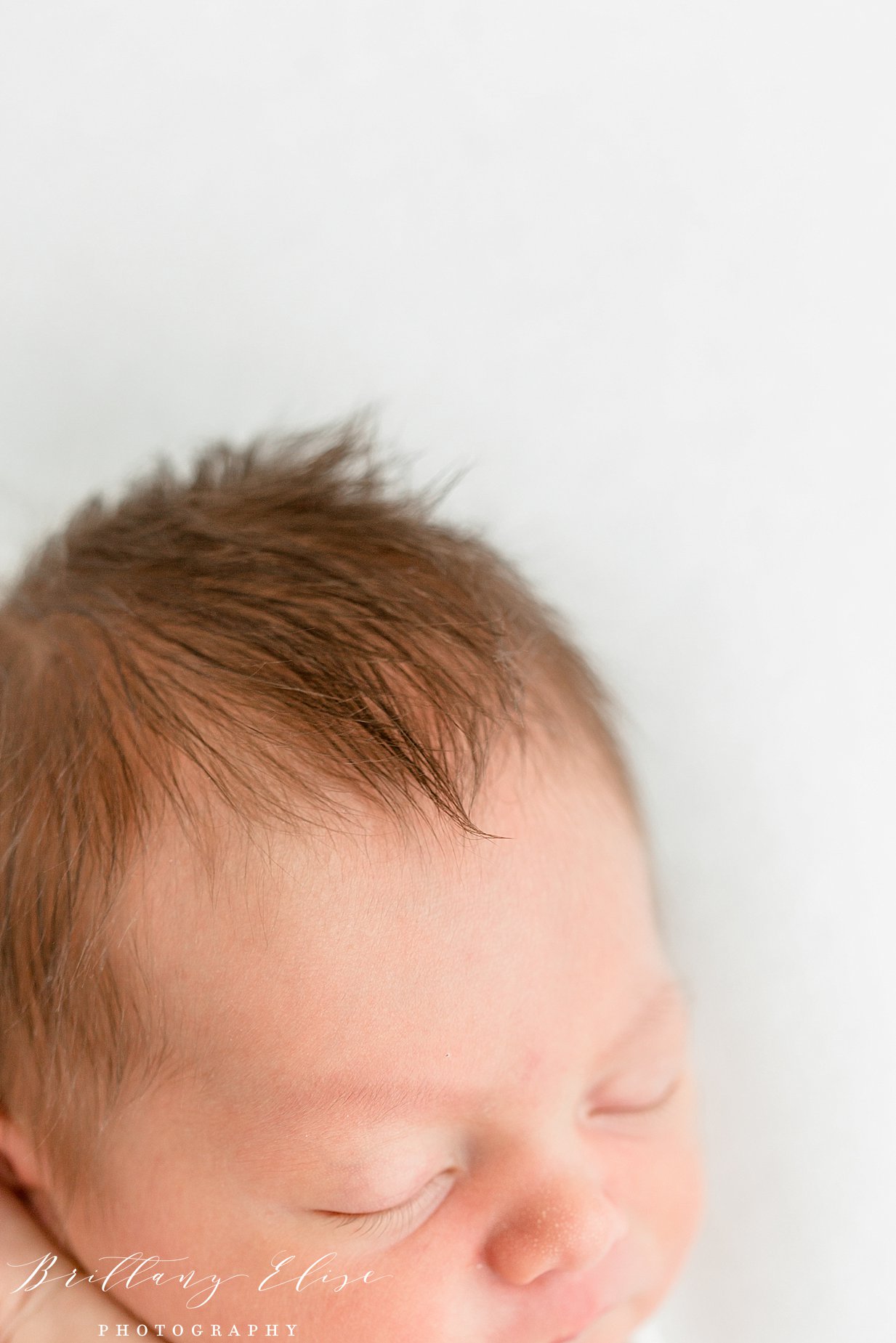 Tampa Newborn Studio Photographer