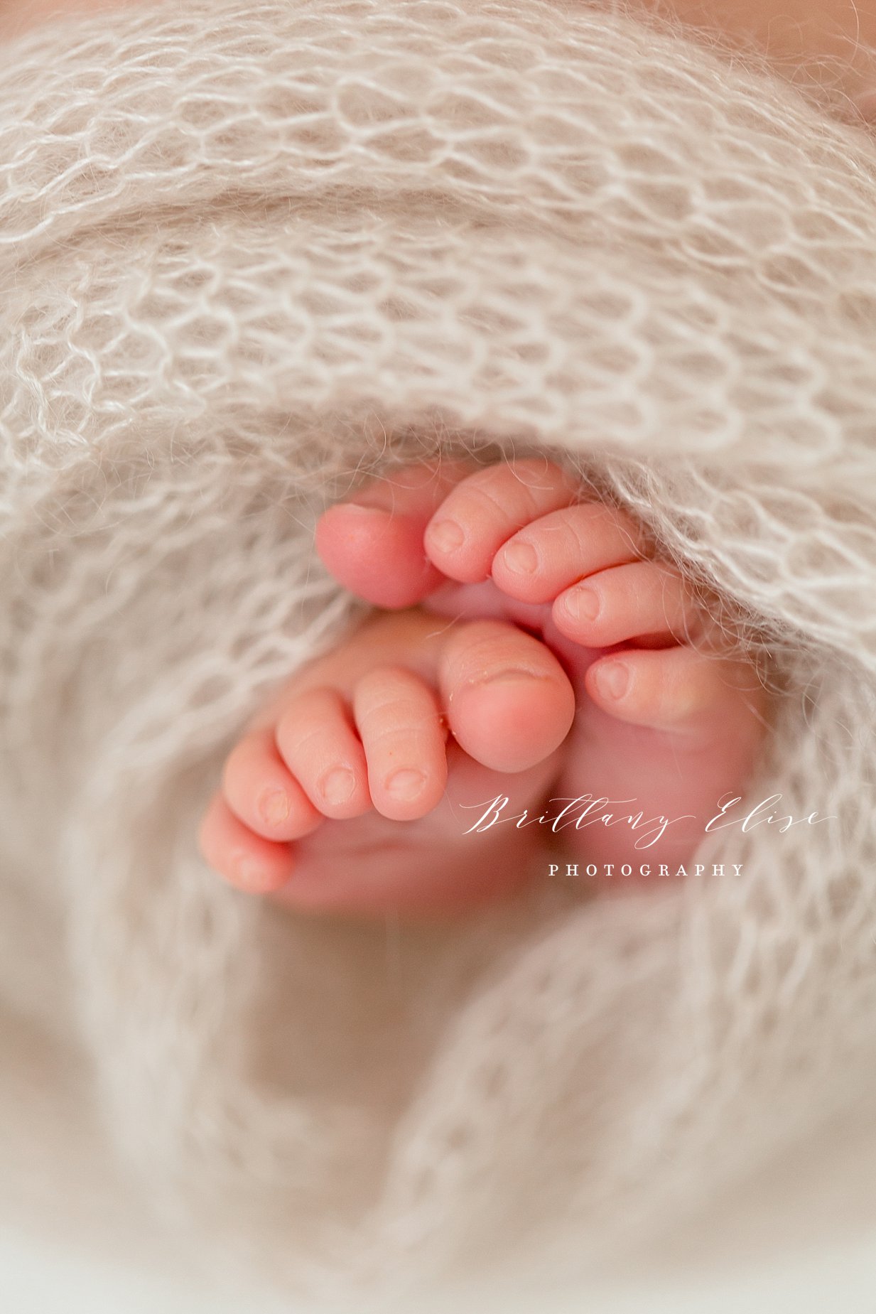 Tampa Newborn Studio Photographer