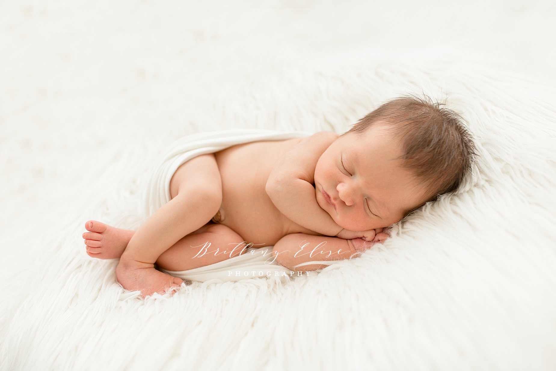 Tampa Newborn Studio Photographer