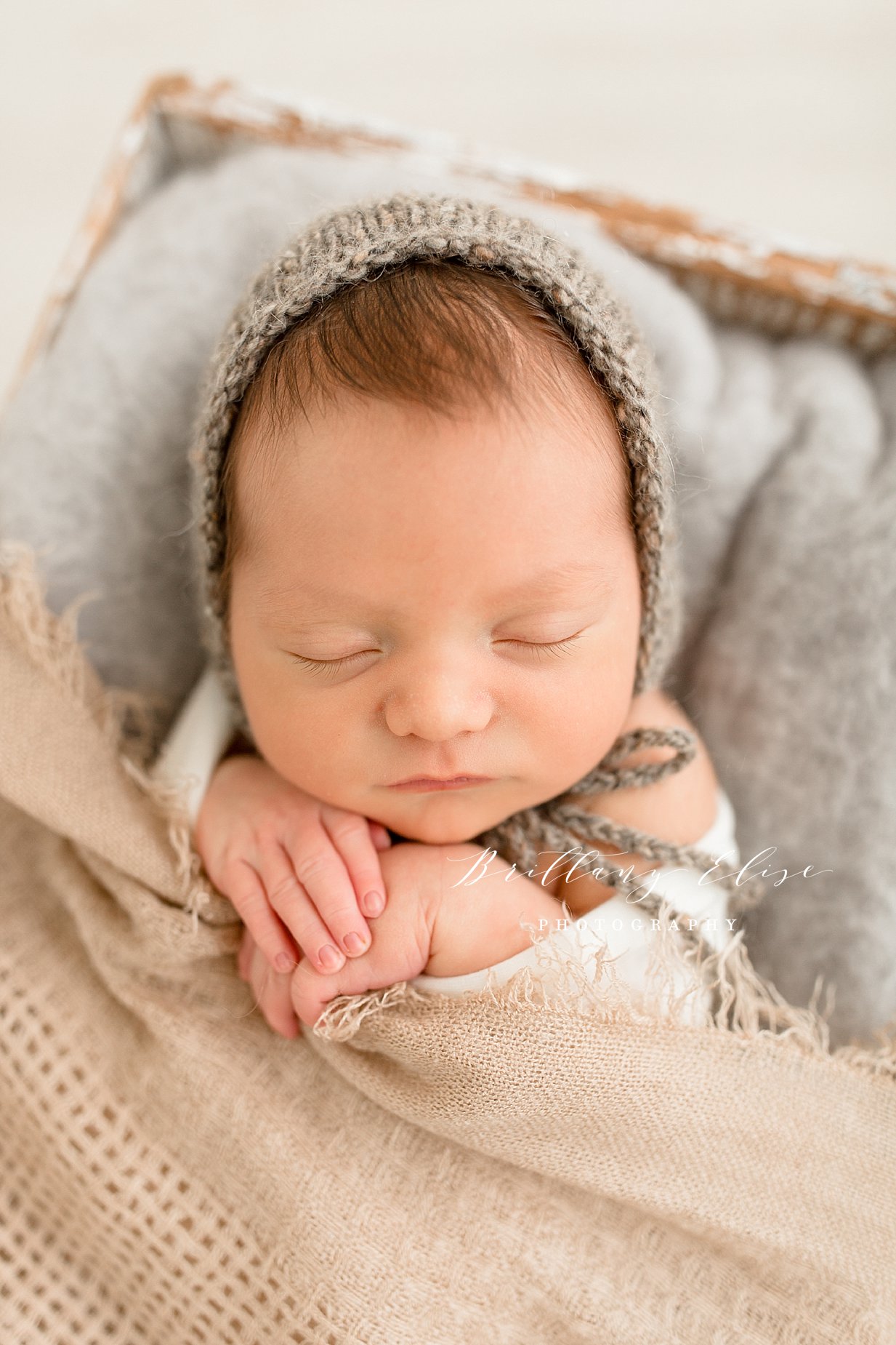 Tampa Newborn Studio Photographer