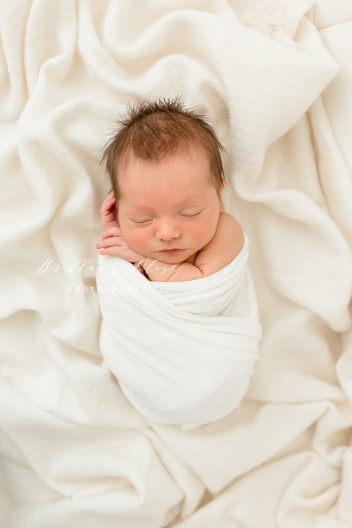 Tampa Newborn Studio Photographer