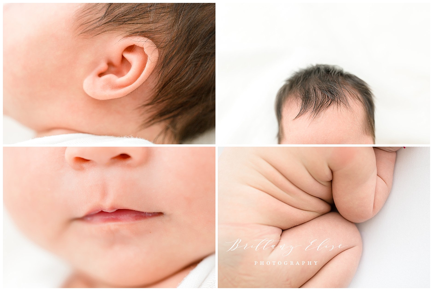 Tampa Studio Newborn Photographer