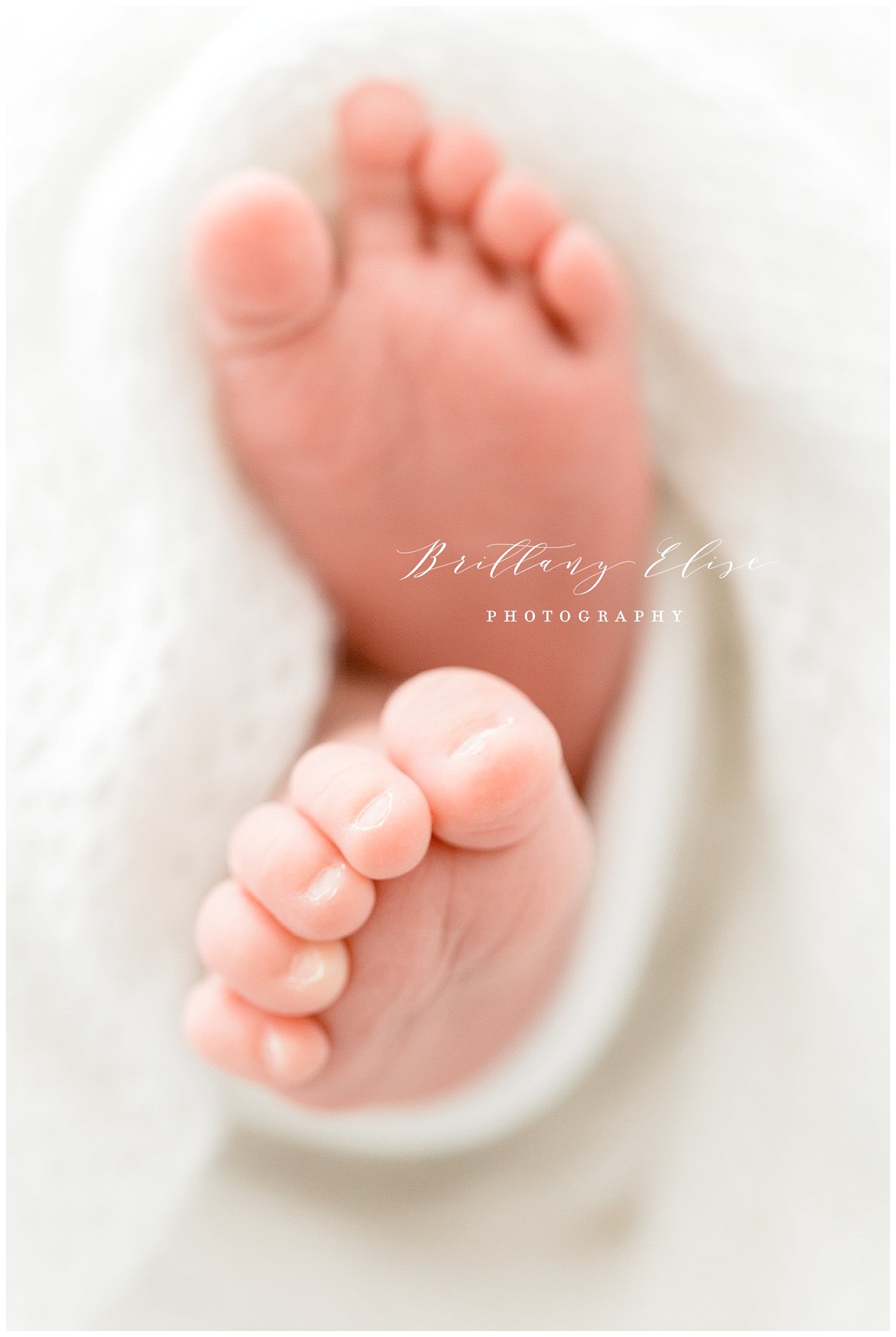 Tampa Studio Newborn Photographer
