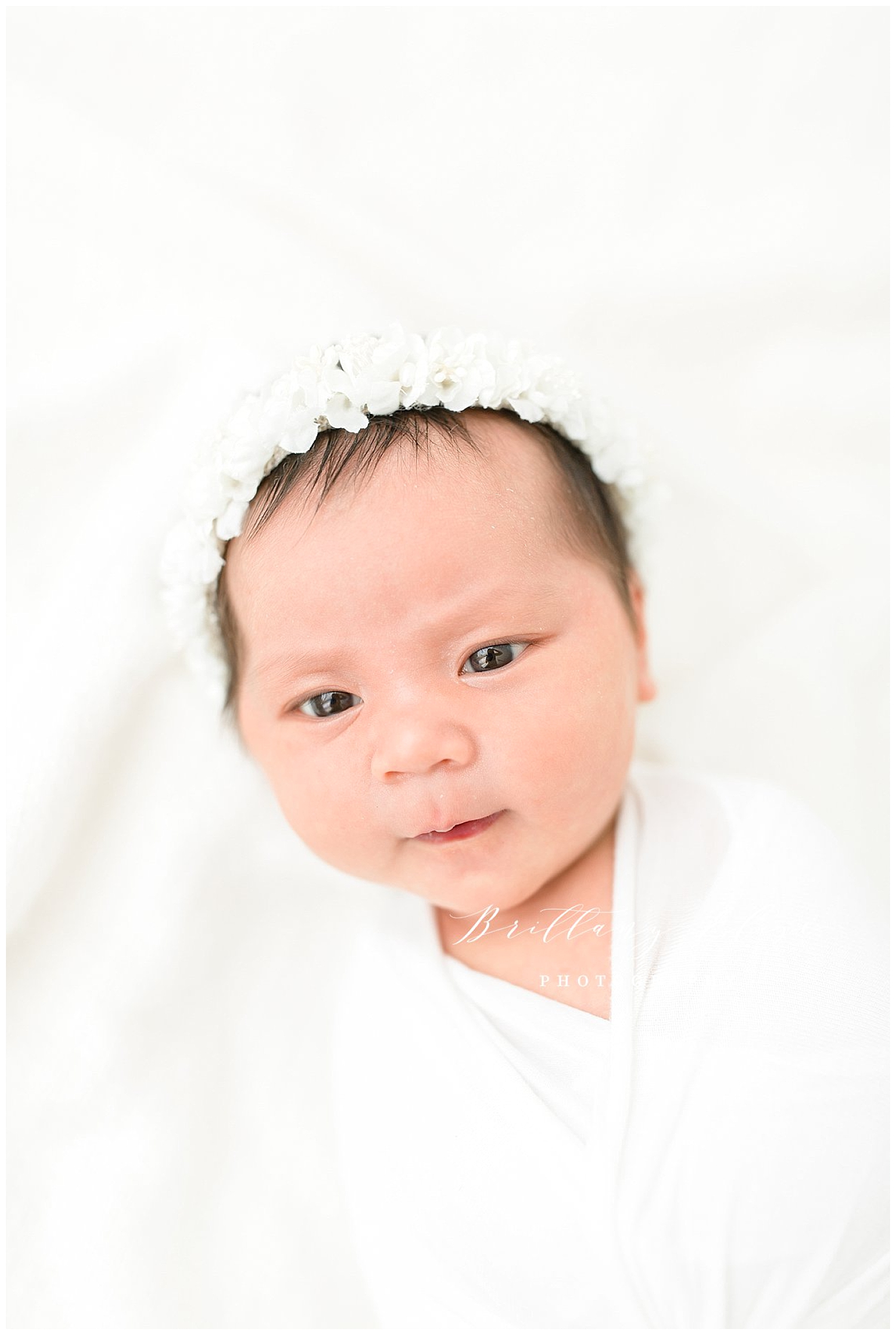 Tampa Studio Newborn Photographer