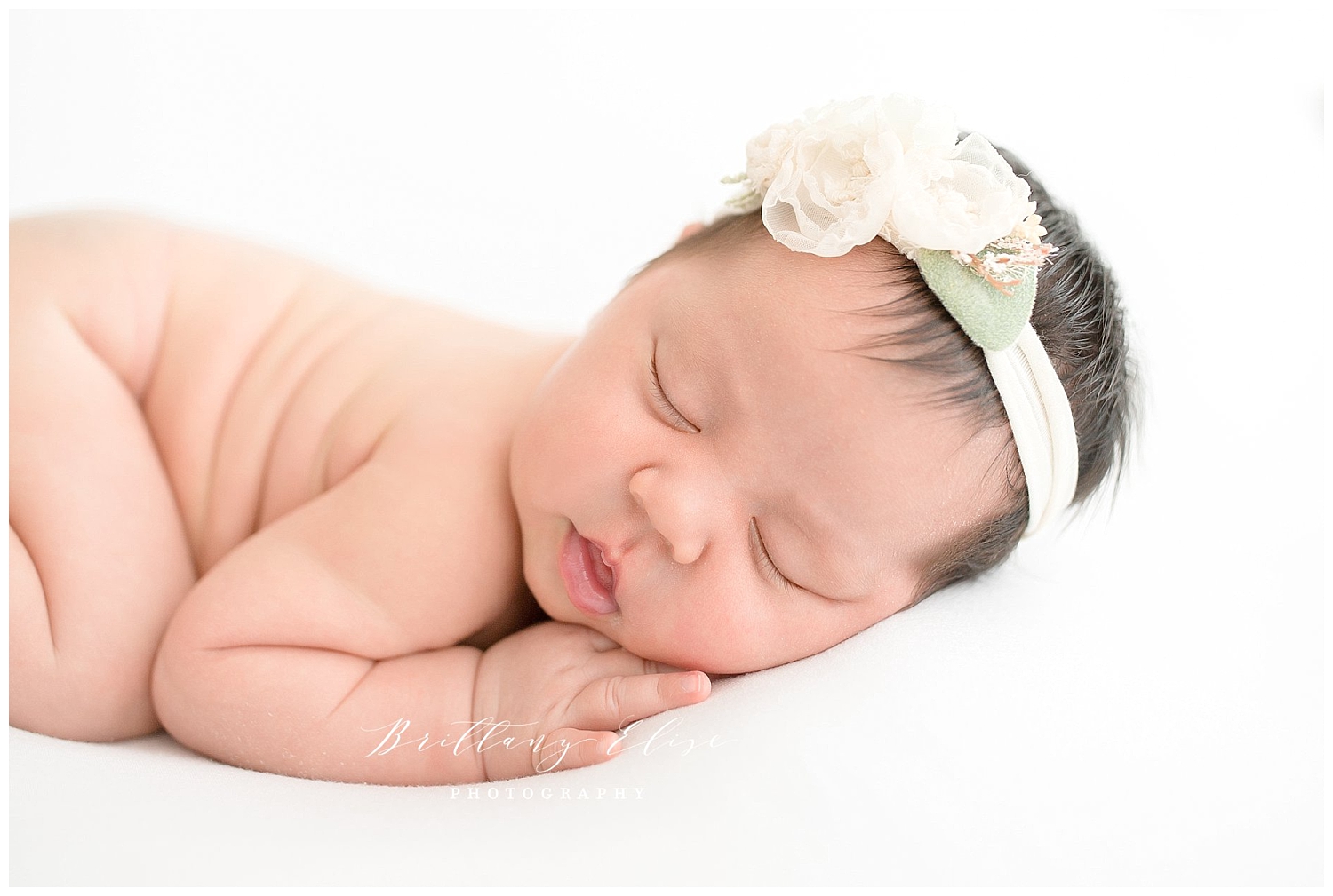 Tampa Studio Newborn Photographer