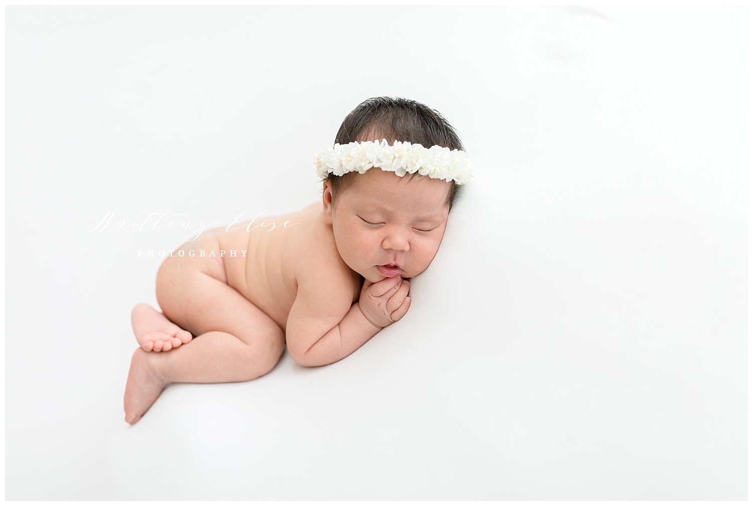 Tampa Studio Newborn Photographer