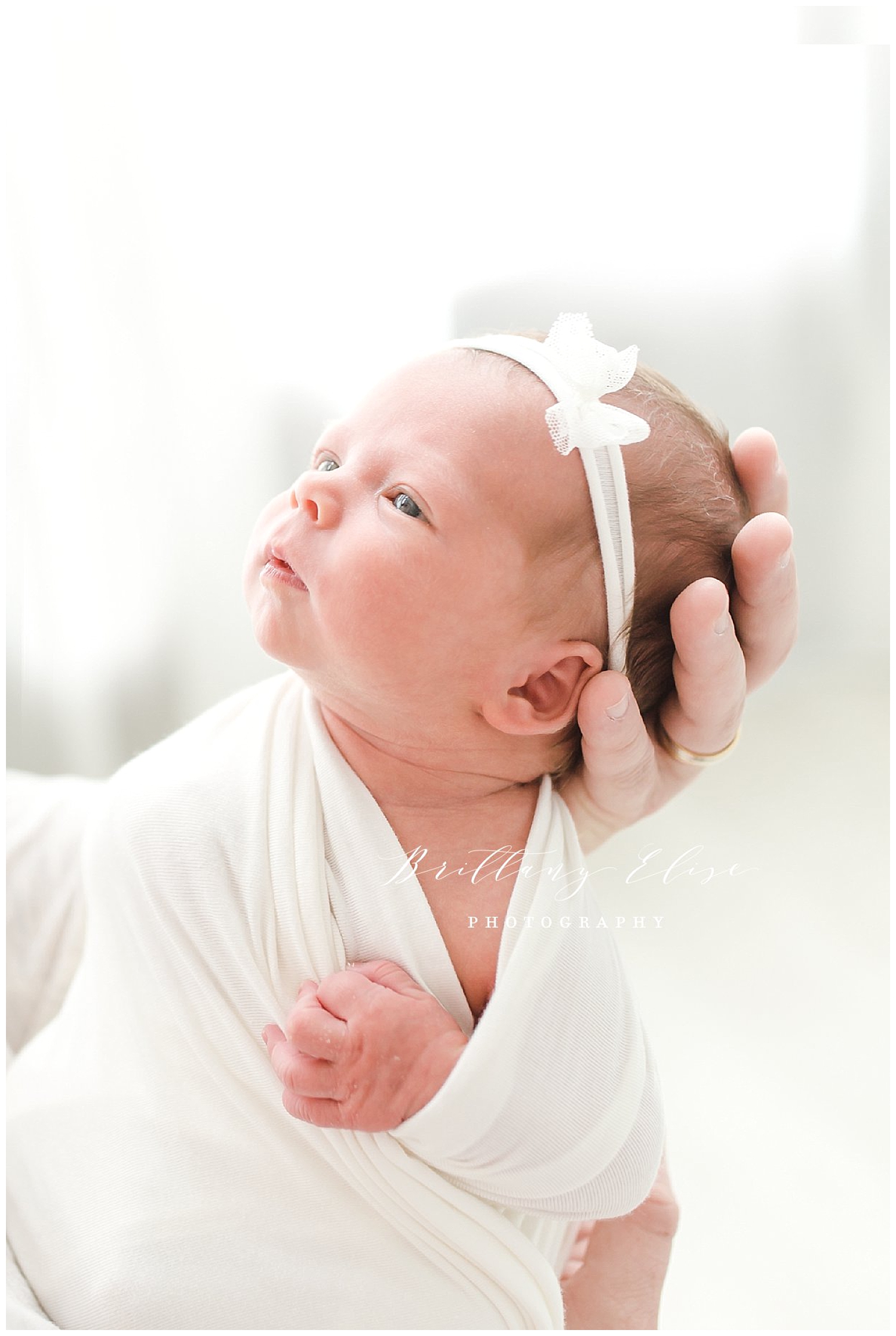 Tampa Newborn Studio Session Photographer