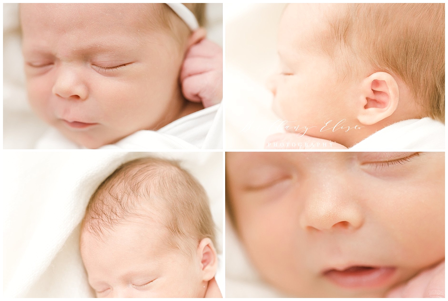 Tampa Newborn Studio Session Photographer