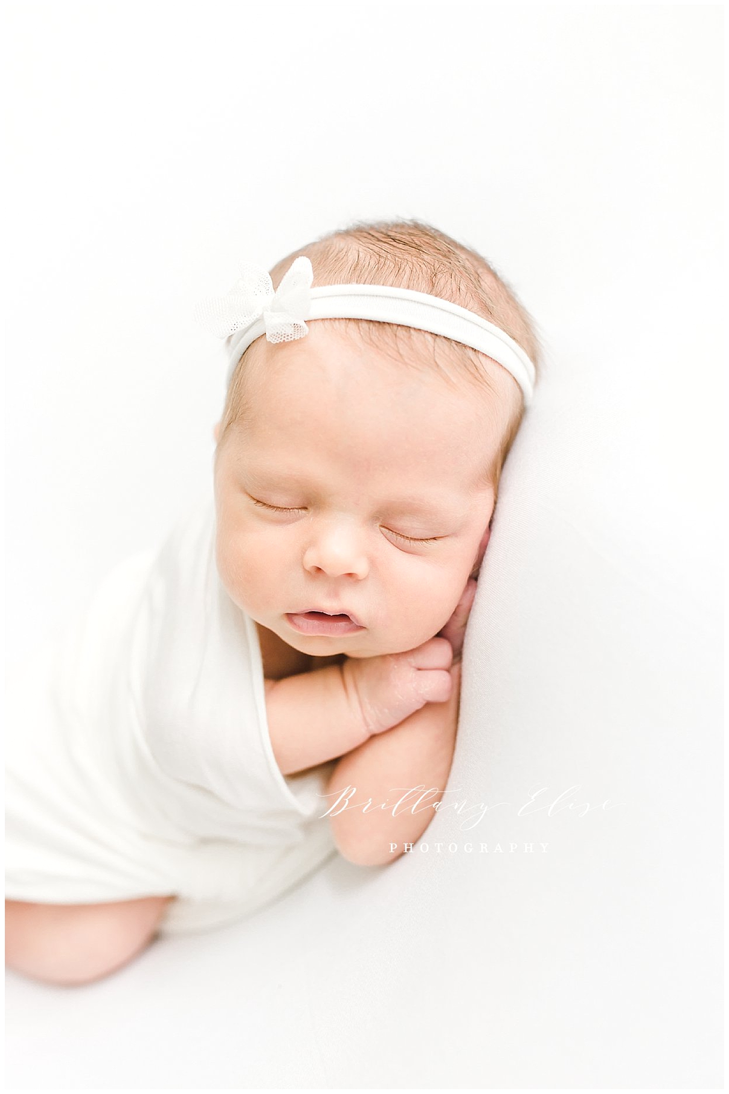 Tampa Newborn Studio Session Photographer