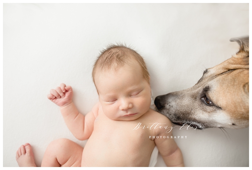 Tampa Newborn Lifestyle Session