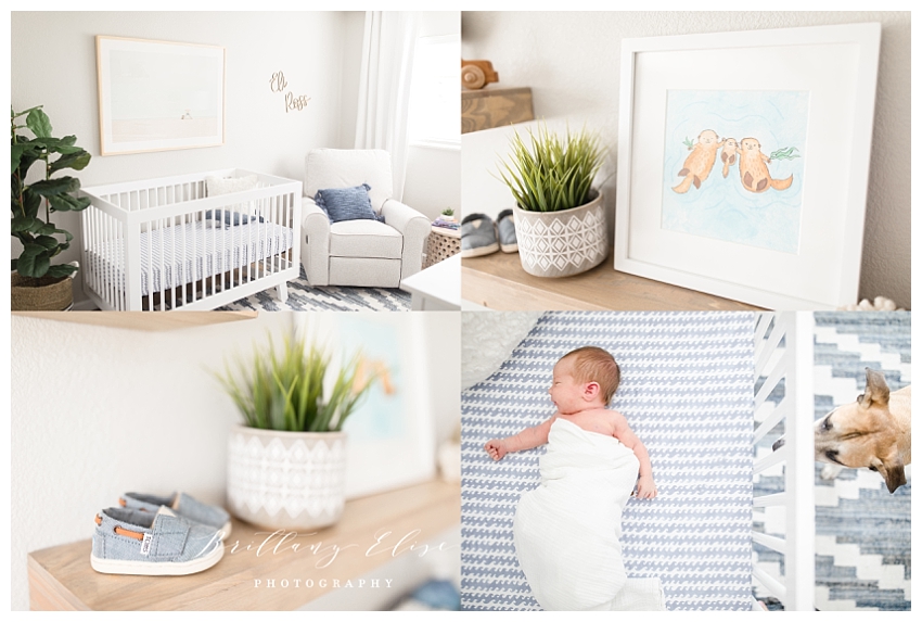 Tampa Newborn Lifestyle Session