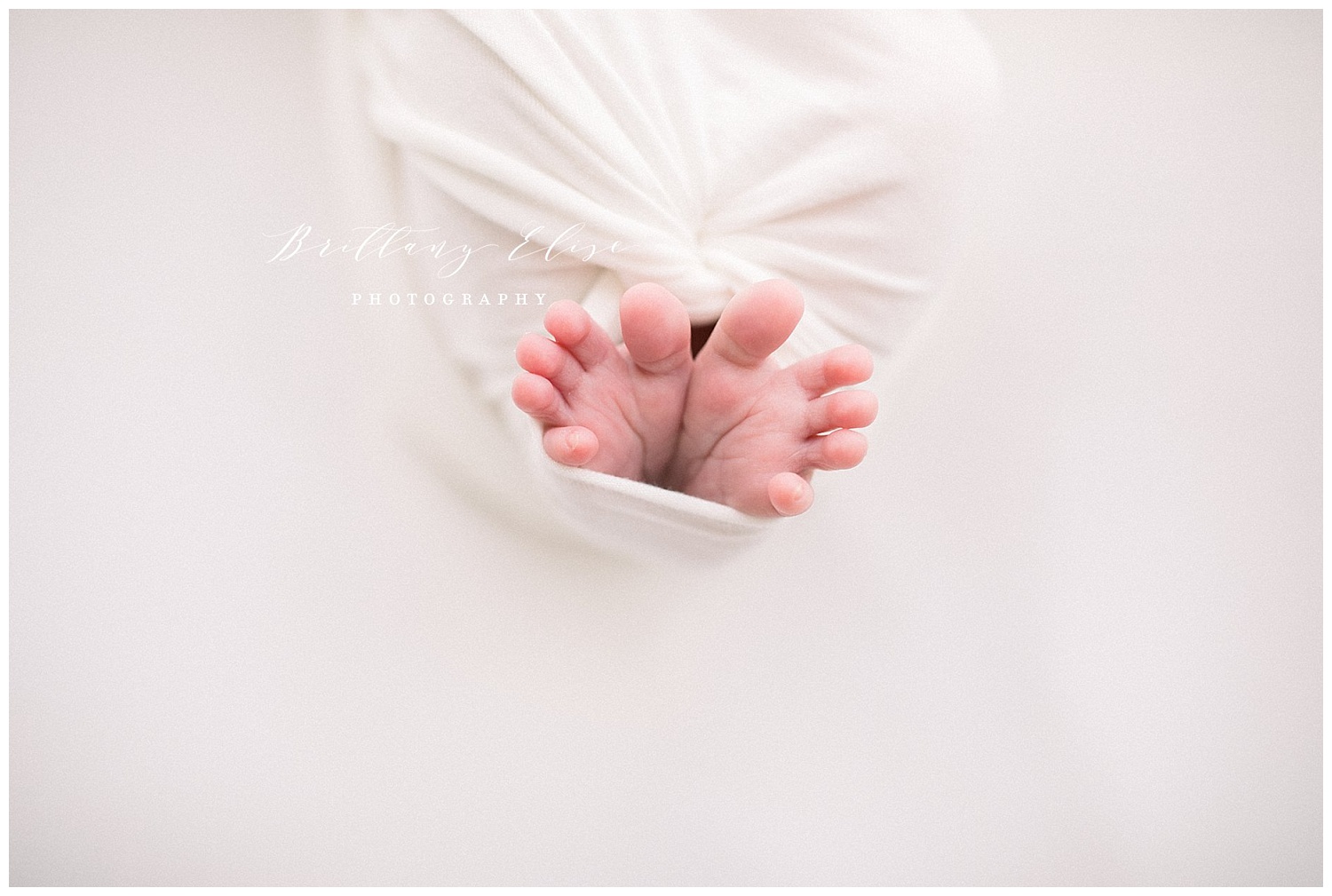 Tampa Newborn Natural Light Studio Photographer