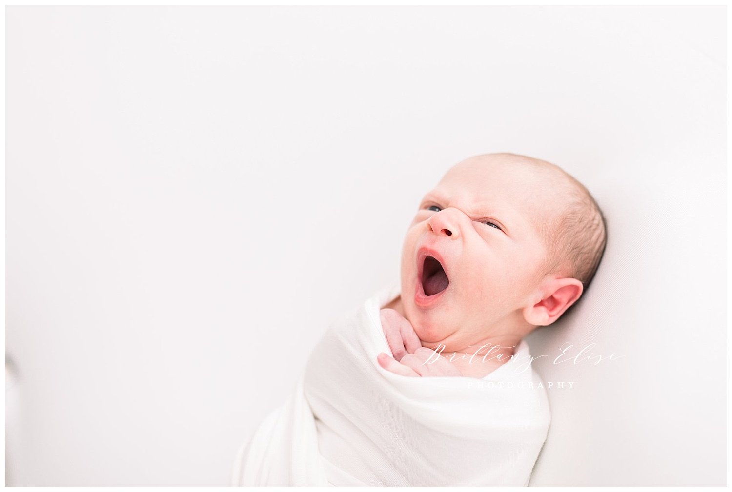 Tampa Newborn Natural Light Studio Photographer