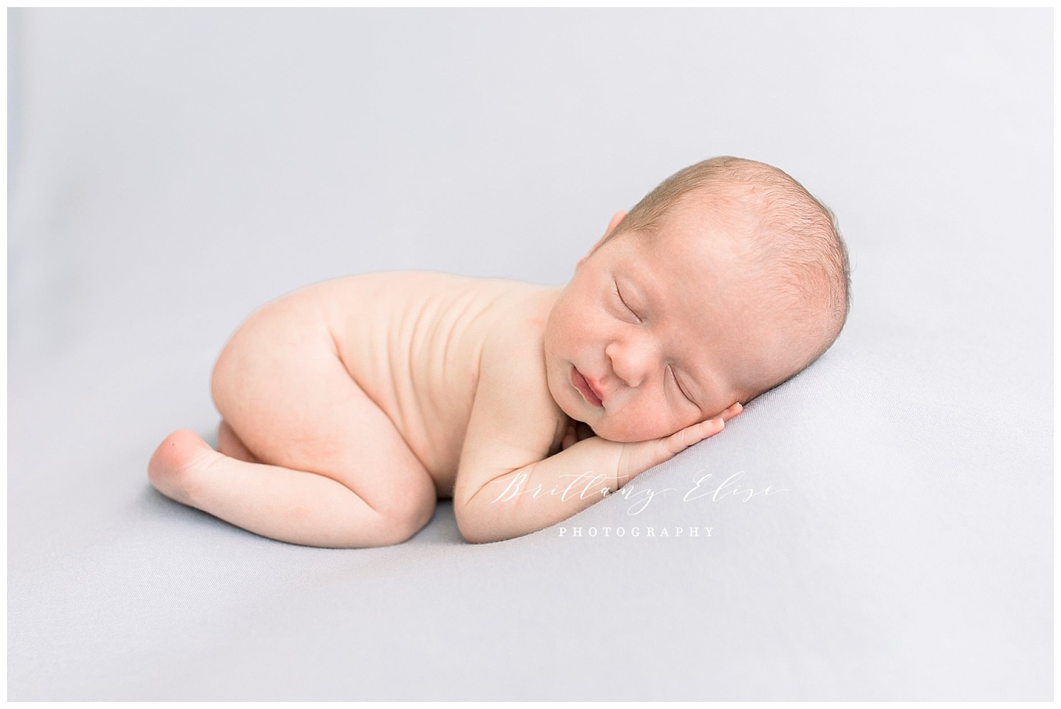 Tampa Newborn Natural Light Studio Photographer