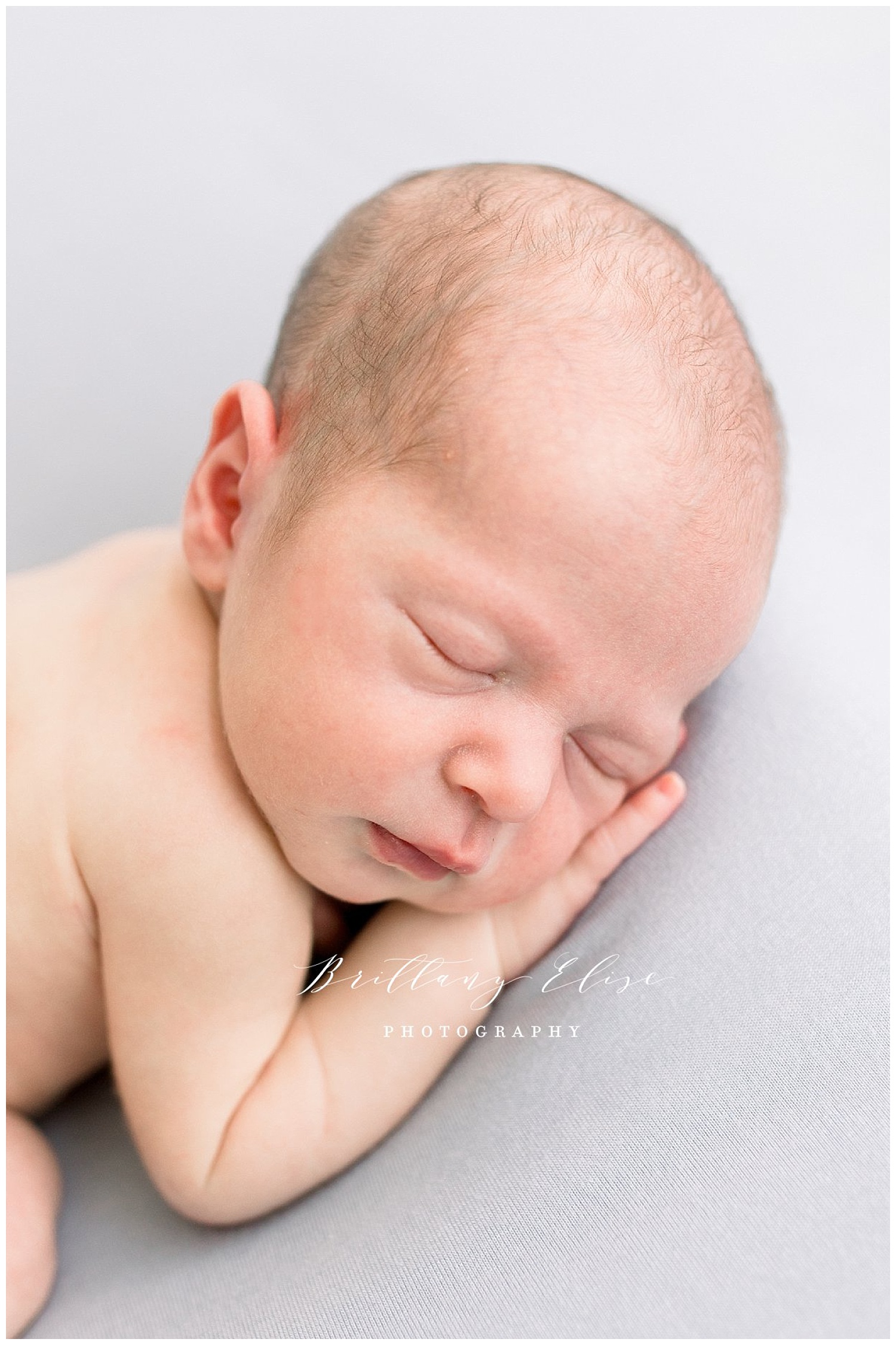 Tampa Newborn Natural Light Studio Photographer