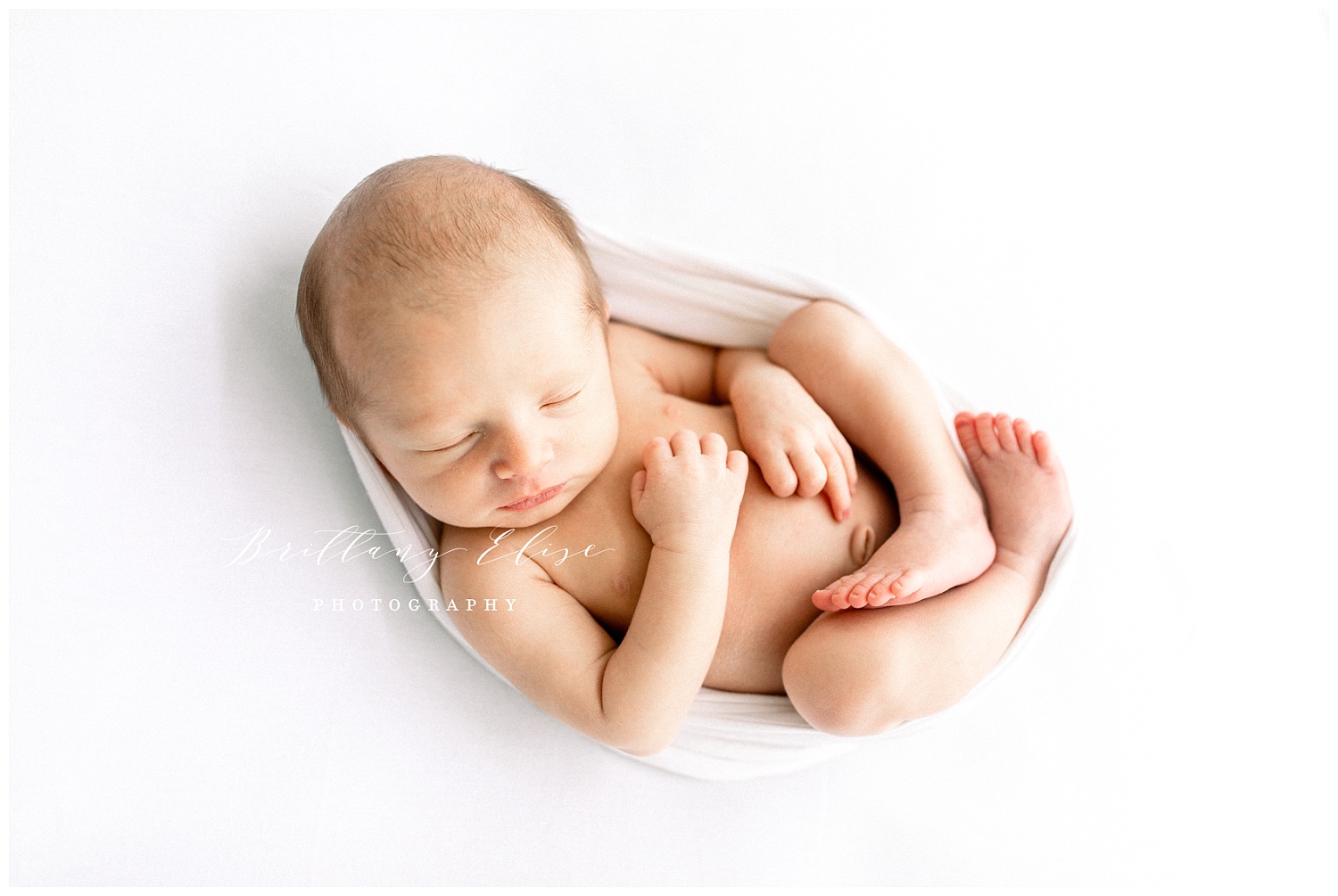 Tampa Newborn Studio Photographer