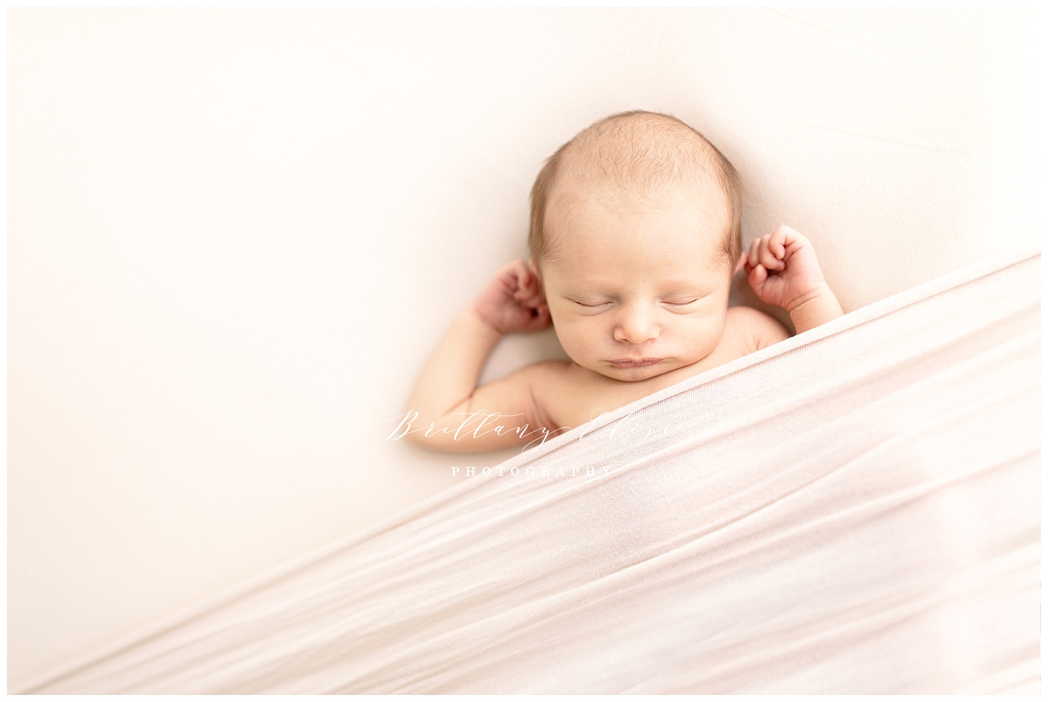 Tampa Newborn Studio Photographer