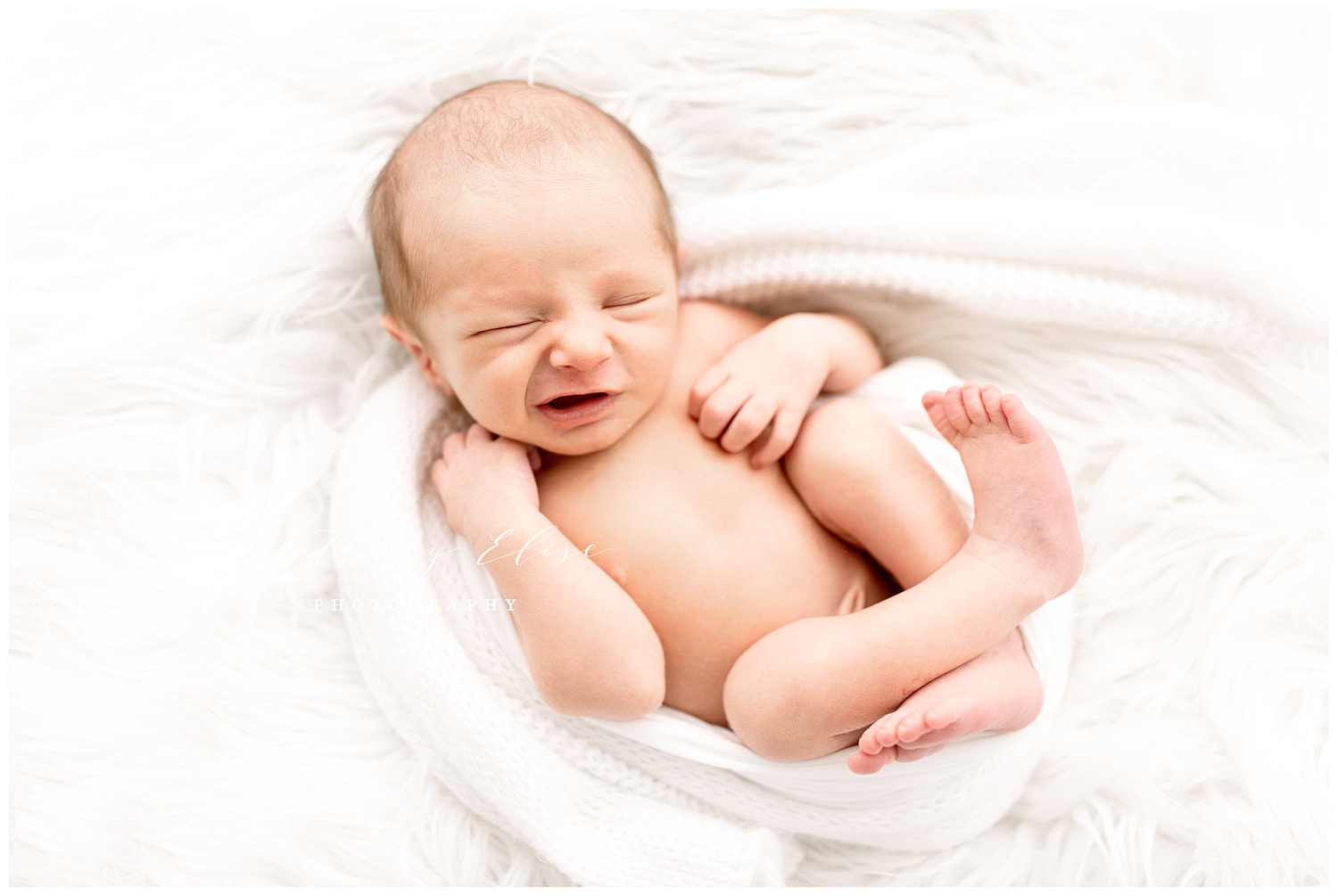 Tampa Newborn Studio Photographer