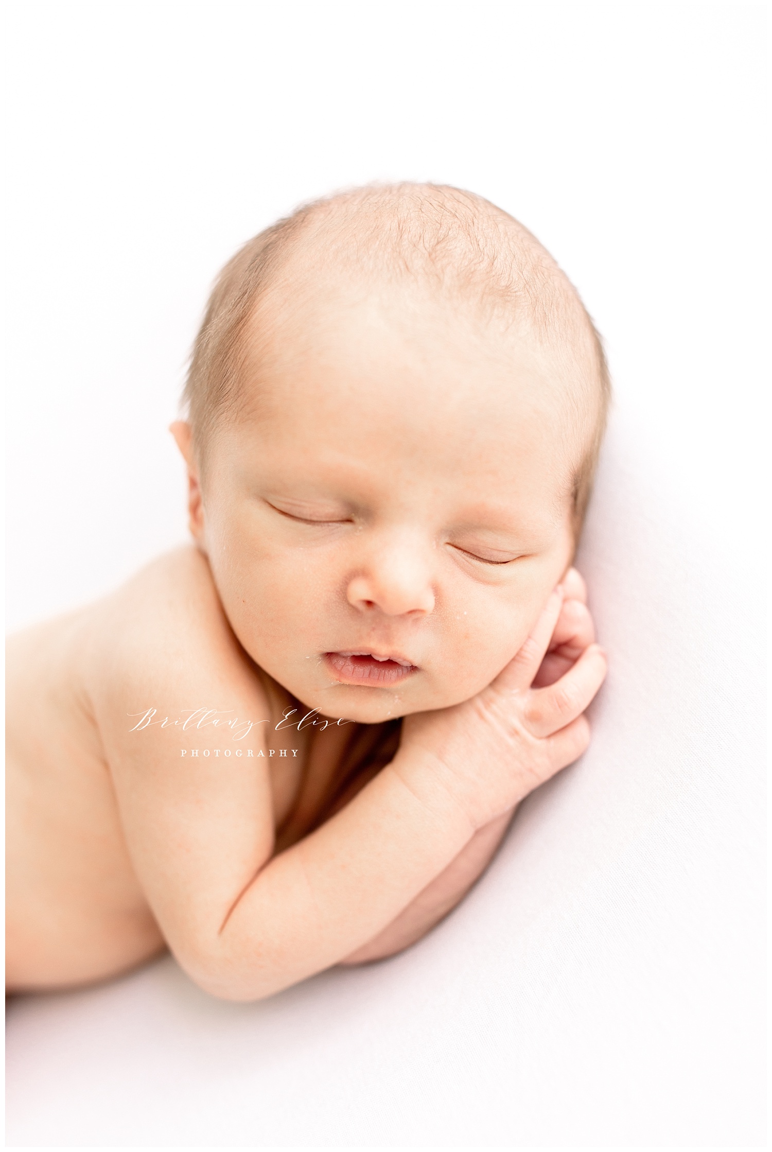 Tampa Newborn Studio Photographer