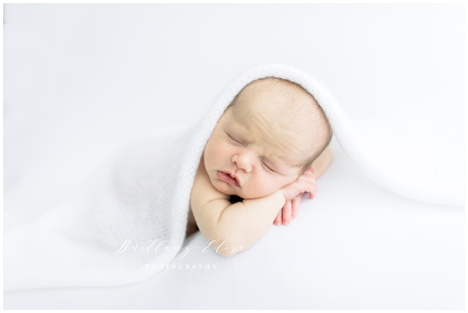 Tampa Newborn Photographer