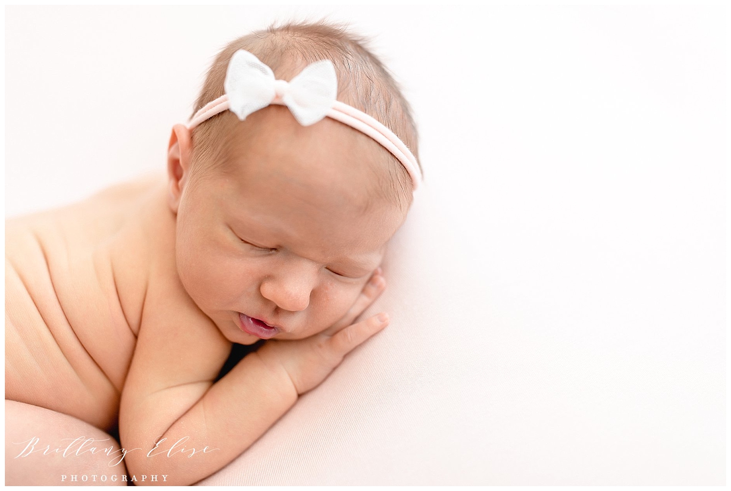 Tampa Newborn and Sibling Photographer