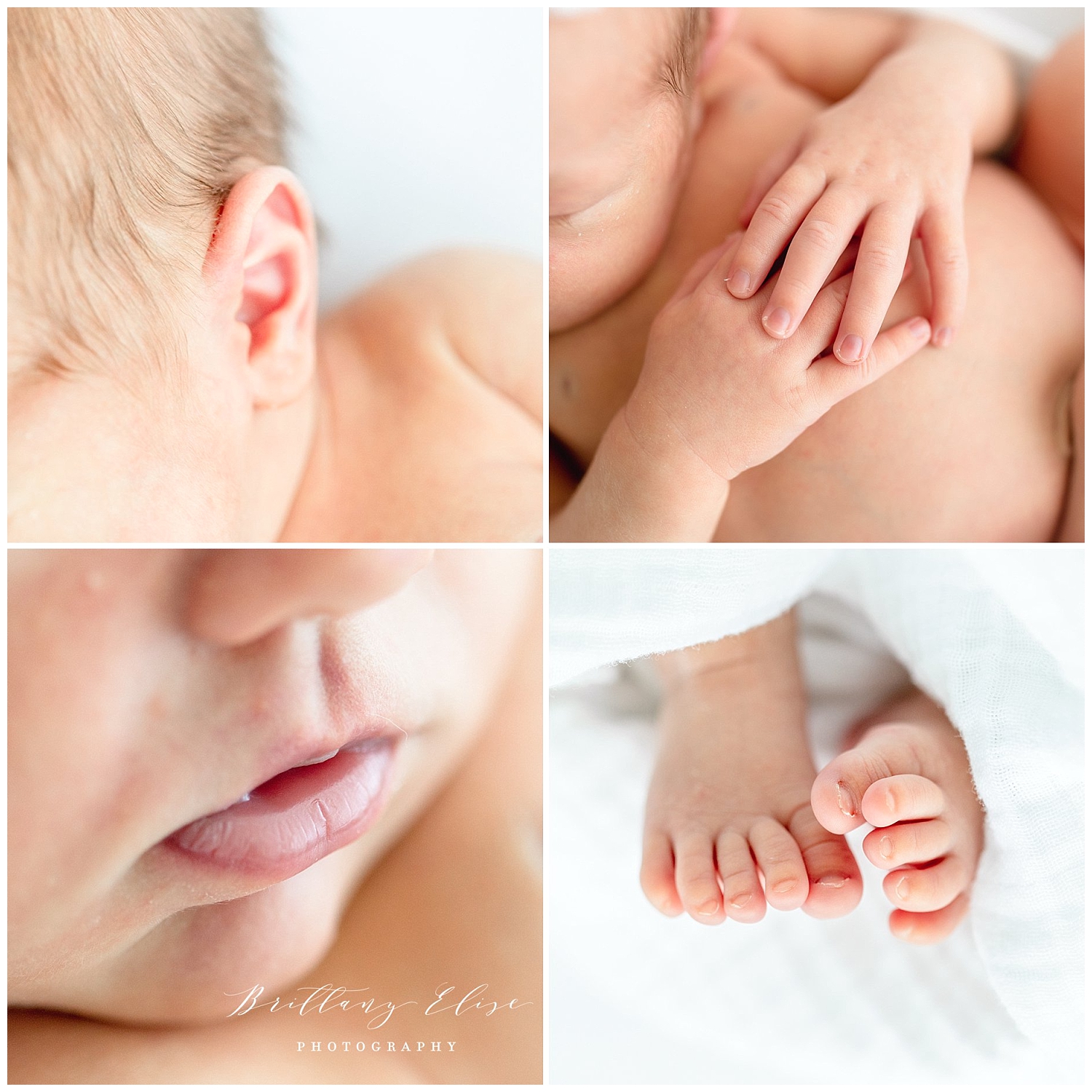 Tampa Newborn and Sibling Photographer