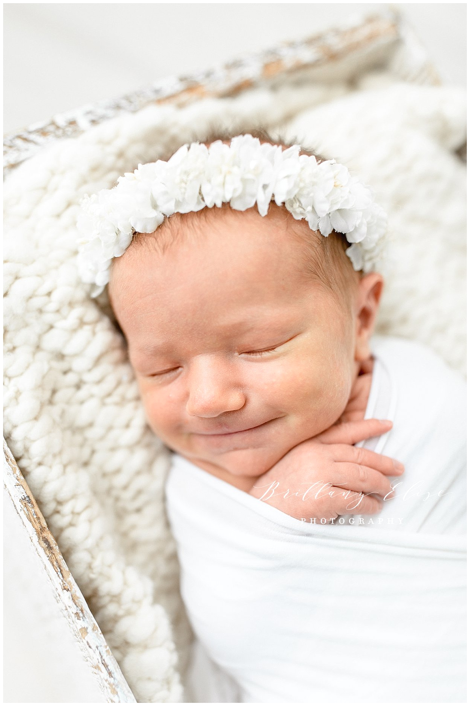 Tampa Newborn and Sibling Photographer