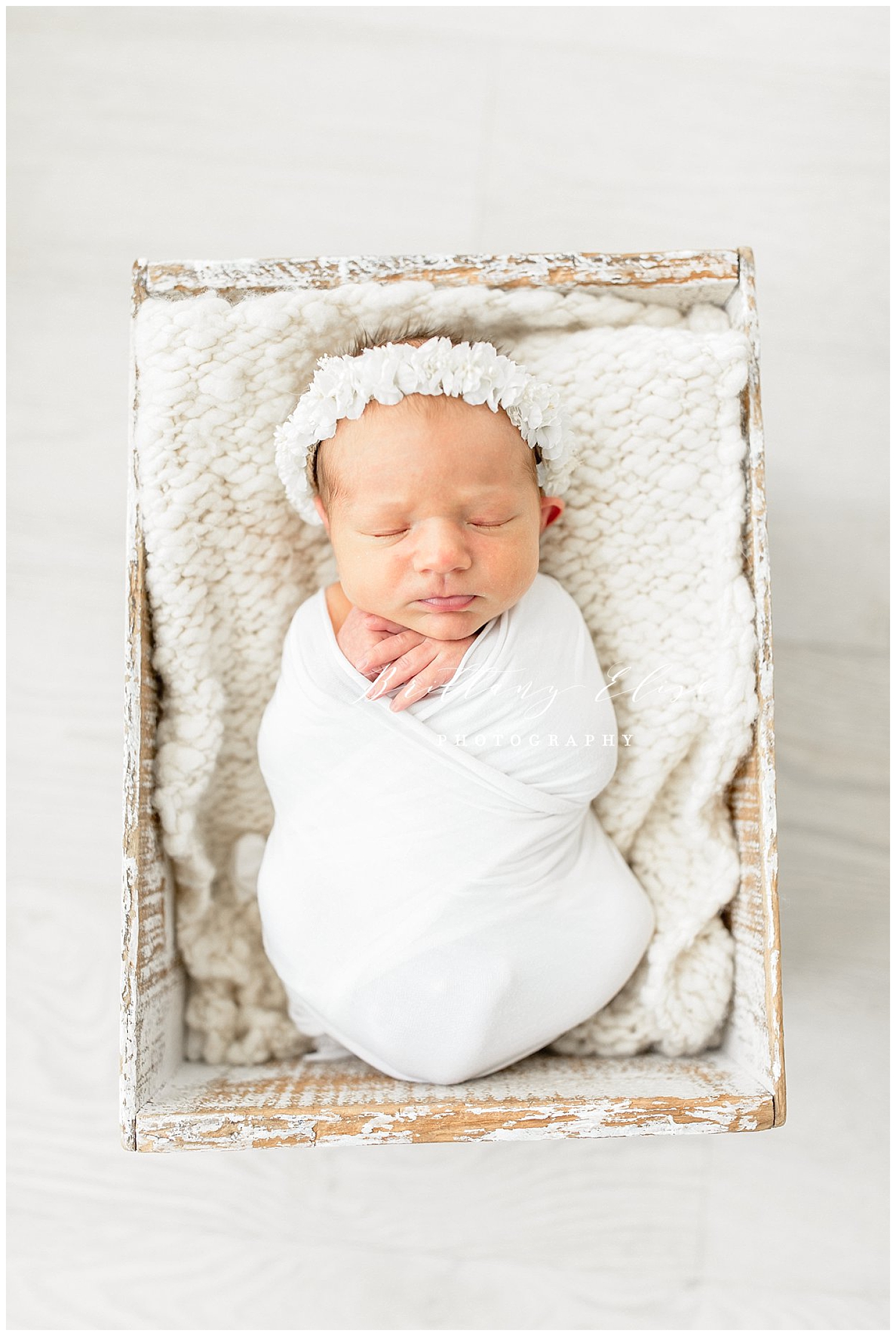 Tampa Newborn and Sibling Photographer