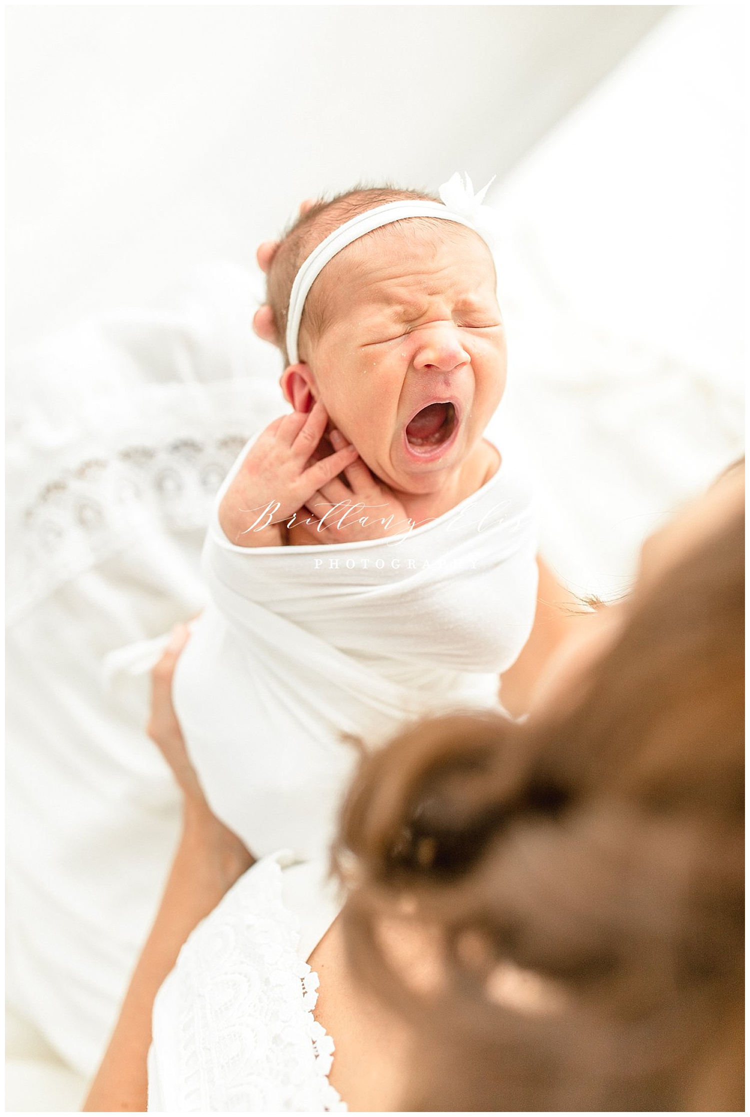 Tampa Newborn and Sibling Photographer