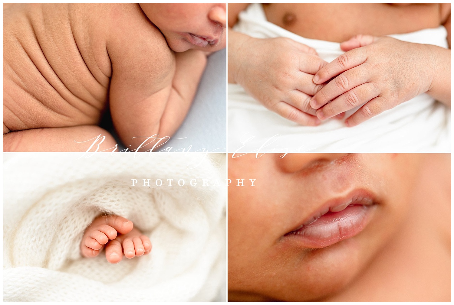 Tampa Family Maternity Newborn Photographer